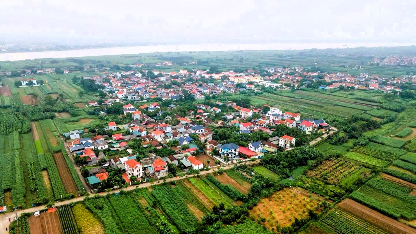 H&agrave; Nội: X&atilde; đảo Minh Ch&acirc;u ph&aacute;t triển m&ocirc; h&igrave;nh n&ocirc;ng nghiệp xanh, gắn với du lịch trải nghiệm- Ảnh 1.