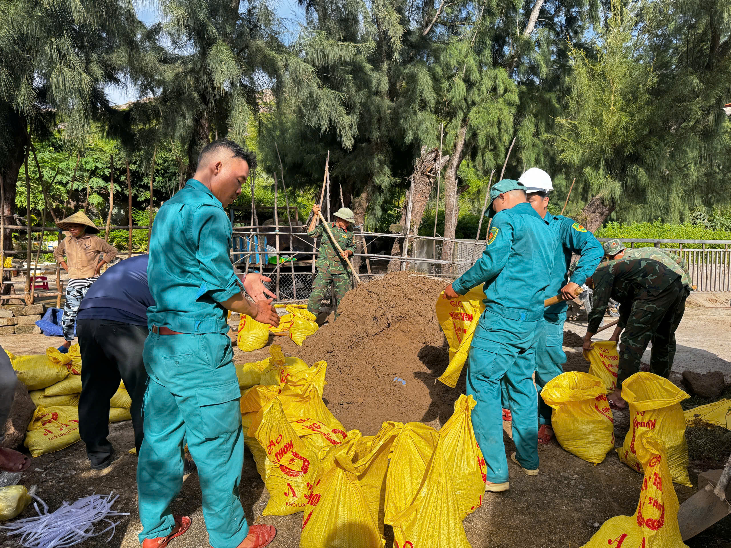 B&atilde;o Kalmaegi &aacute;p s&aacute;t Biển Đ&ocirc;ng, Đ&agrave; Nẵng - Kh&aacute;nh H&ograve;a khẩn trương ph&ograve;ng chống- Ảnh 4.