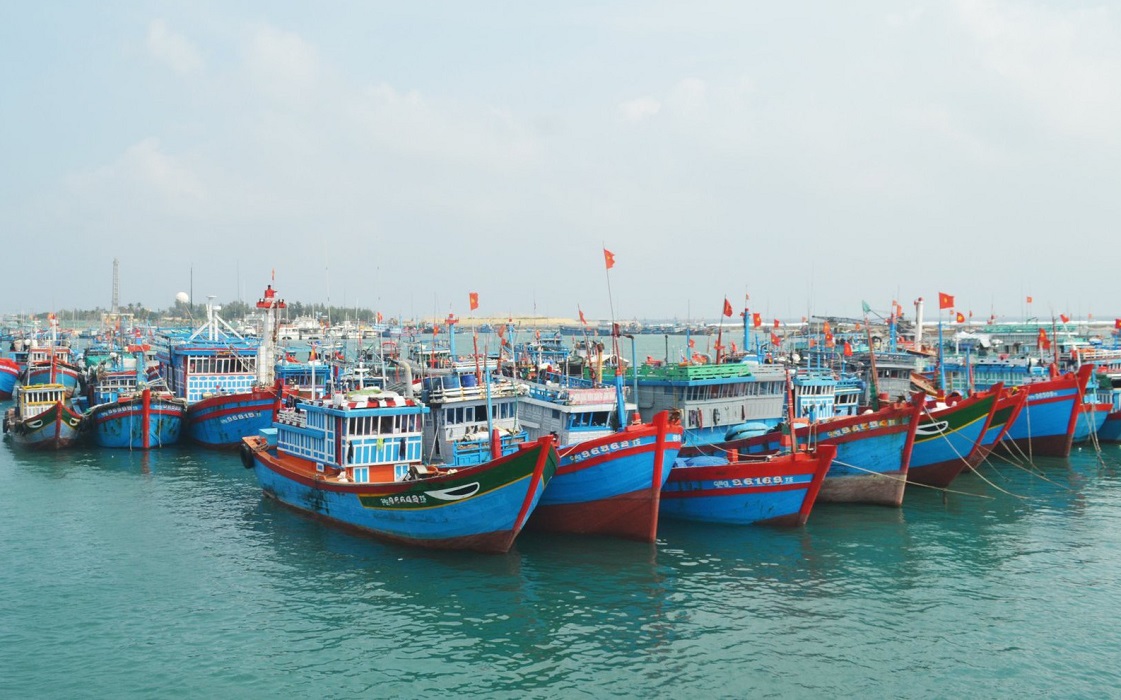 Hải Ph&ograve;ng: Ki&ecirc;n quyết ngăn chặn, kh&ocirc;ng để t&agrave;u c&aacute; vi phạm khai th&aacute;c IUU- Ảnh 1.