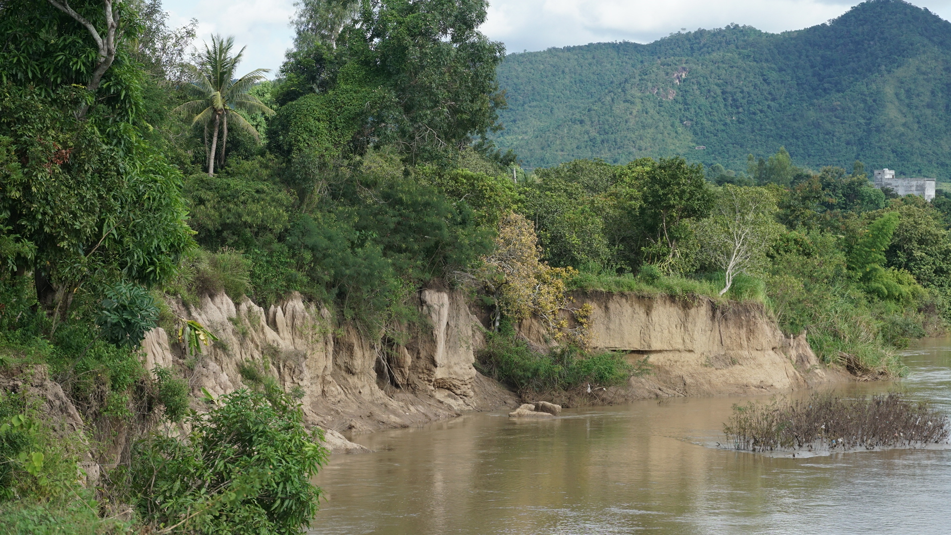 Toàn cảnh sạt lở bờ sông Ba cuốn trôi 100ha đất, hơn 3.500 người dân Gia Lai bị ảnh hưởng- Ảnh 12. Toàn cảnh sạt lở bờ sông Ba cuốn trôi 100ha đất, hơn 3.500 người dân Gia Lai bị ảnh hưởng- Ảnh 12.