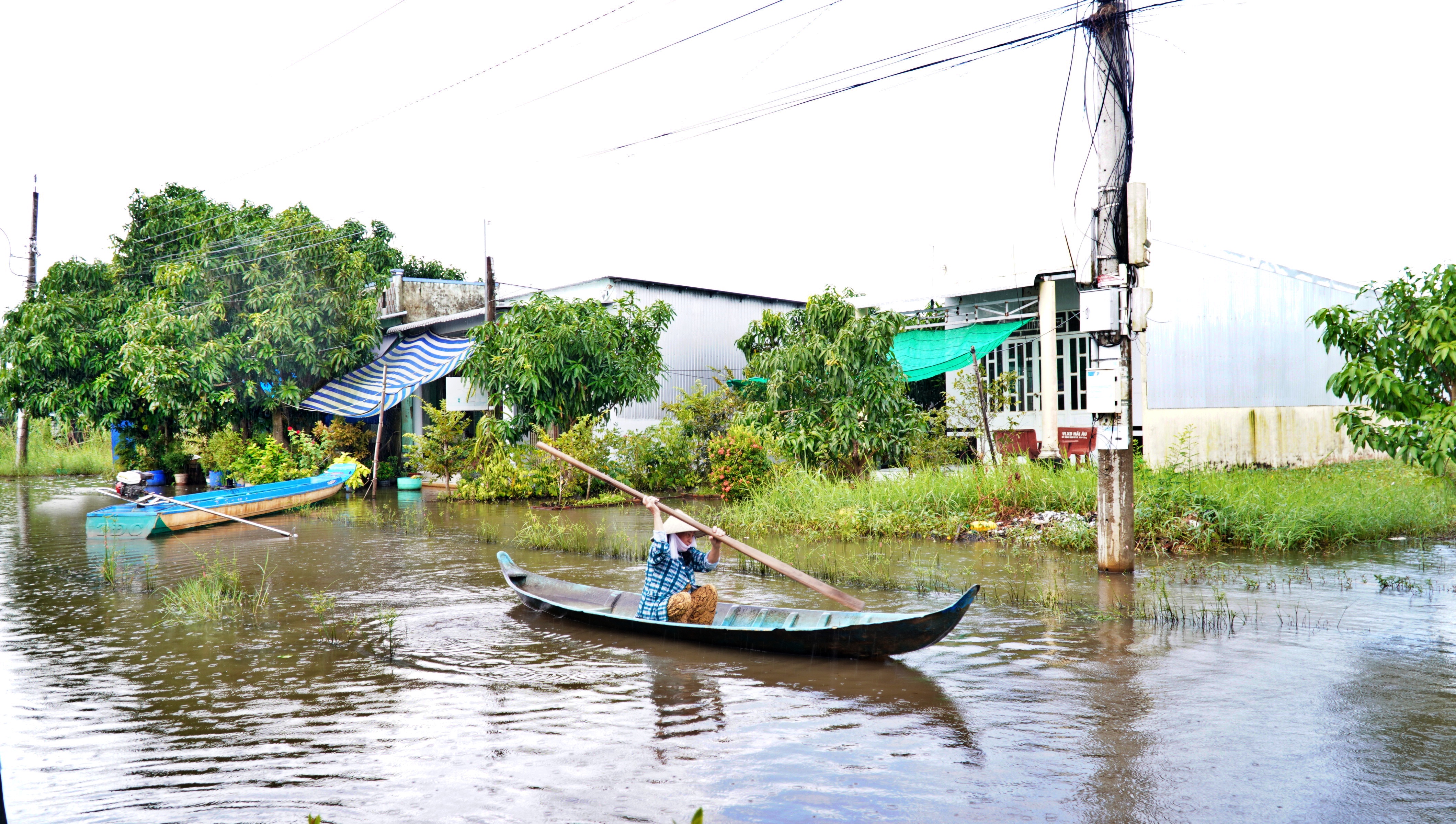 C&agrave; Mau: Người d&acirc;n khu t&aacute;i định cư vất vả lưu th&ocirc;ng v&igrave; nước ngập bủa v&acirc;y gần nửa th&aacute;ng- Ảnh 5.
