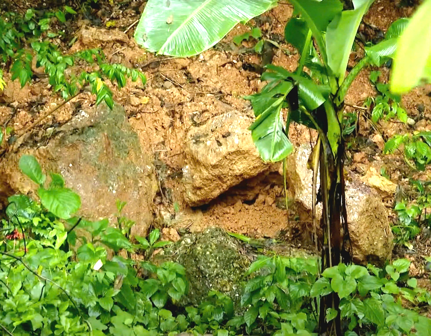 Nghệ An: Cần sớm triển khai giải ph&aacute;p chống sạt lở tại n&uacute;i Th&agrave;nh- Ảnh 3.