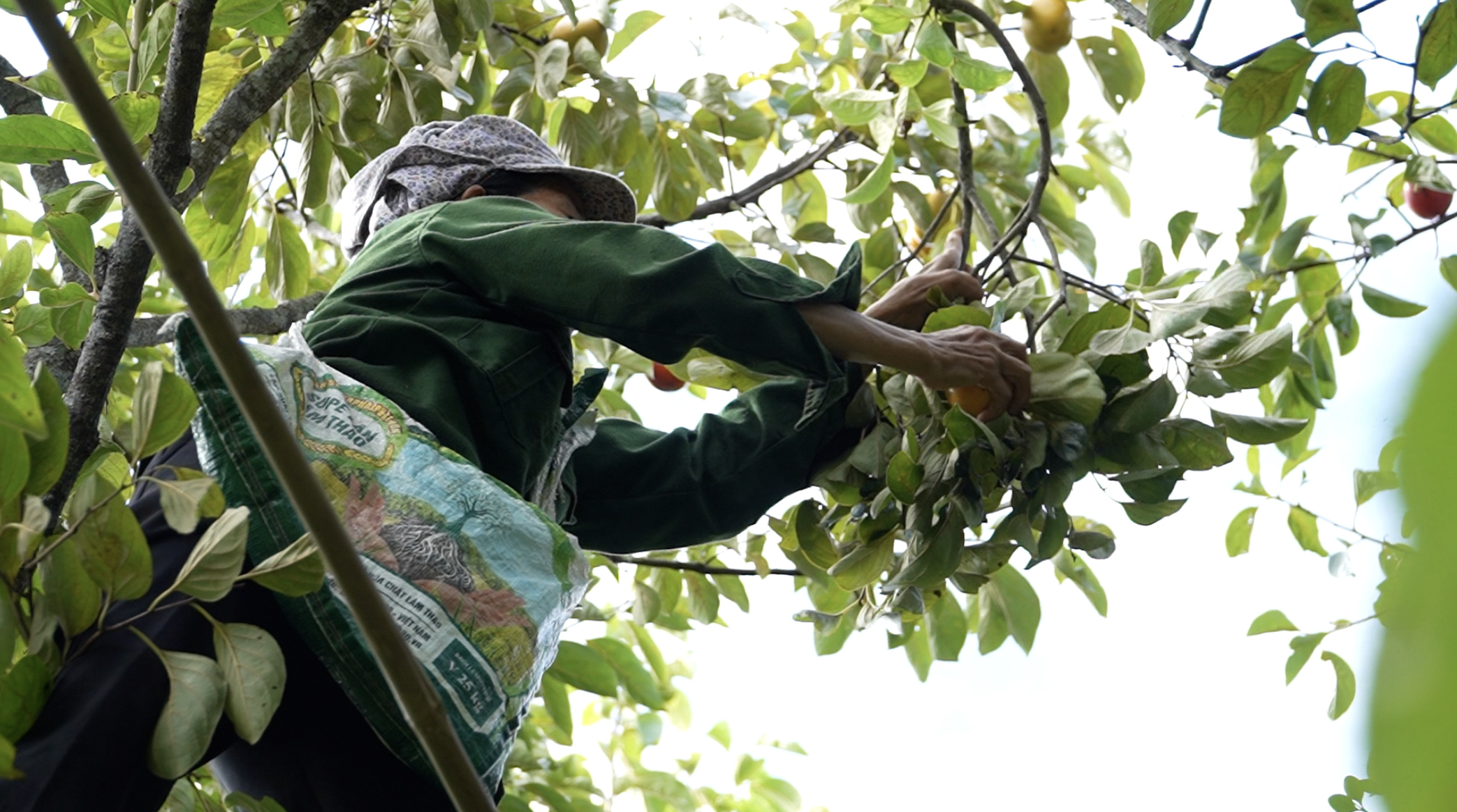 Bắc Ninh: X&atilde; ngh&egrave;o miền n&uacute;i th&agrave;nh điểm s&aacute;ng n&ocirc;ng th&ocirc;n mới- Ảnh 2.