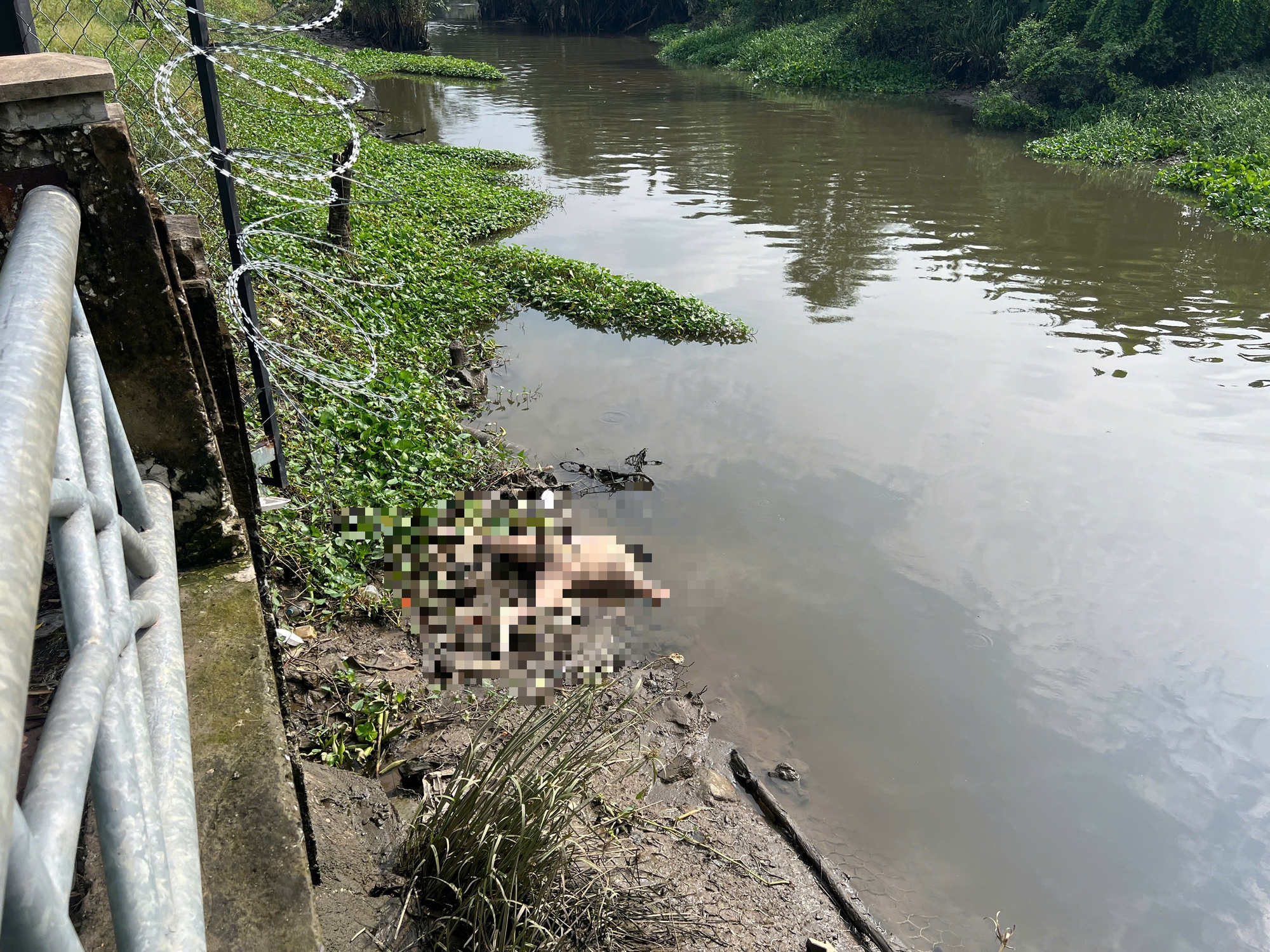 TP.HCM: Ph&aacute;t hiện thi thể t&agrave;i xế taxi c&ocirc;ng nghệ nhảy cầu S&agrave;i G&ograve;n c&aacute;ch hiện trường 5km- Ảnh 1.