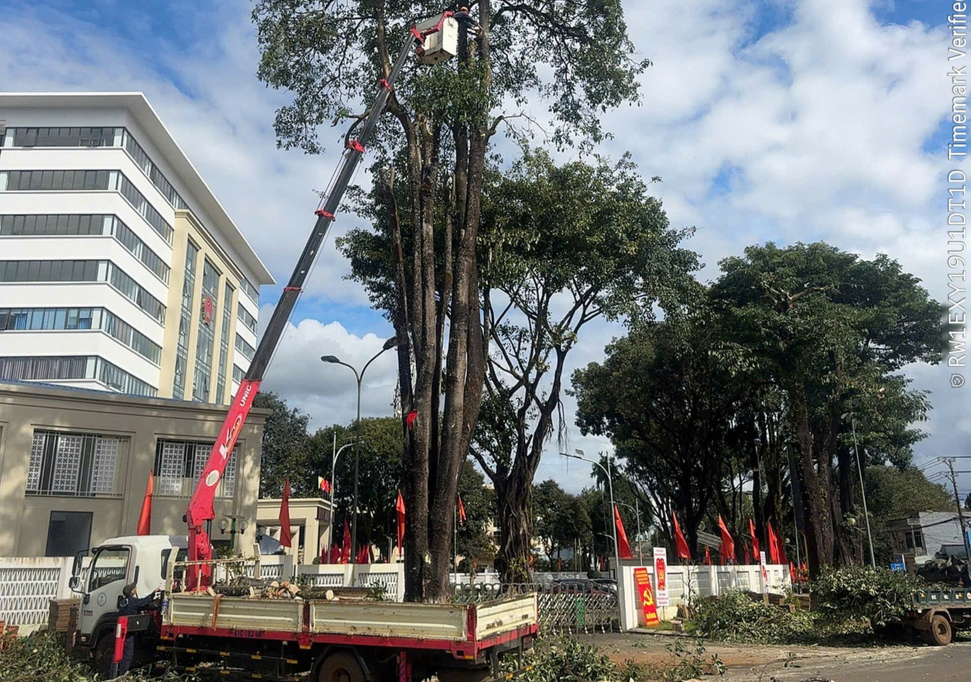 Tin tức mới nhất b&atilde;o số 13: Sạt lở nghi&ecirc;m trọng tại đ&egrave;o T&ocirc; Na tr&ecirc;n QL25- Ảnh 37.