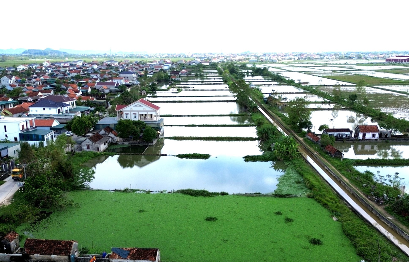 Nghệ An: Sẽ ho&agrave;n th&agrave;nh b&agrave;n giao đất t&aacute;i định cư dự &aacute;n đường sắt tốc độ cao th&aacute;ng 6/2026- Ảnh 3.
