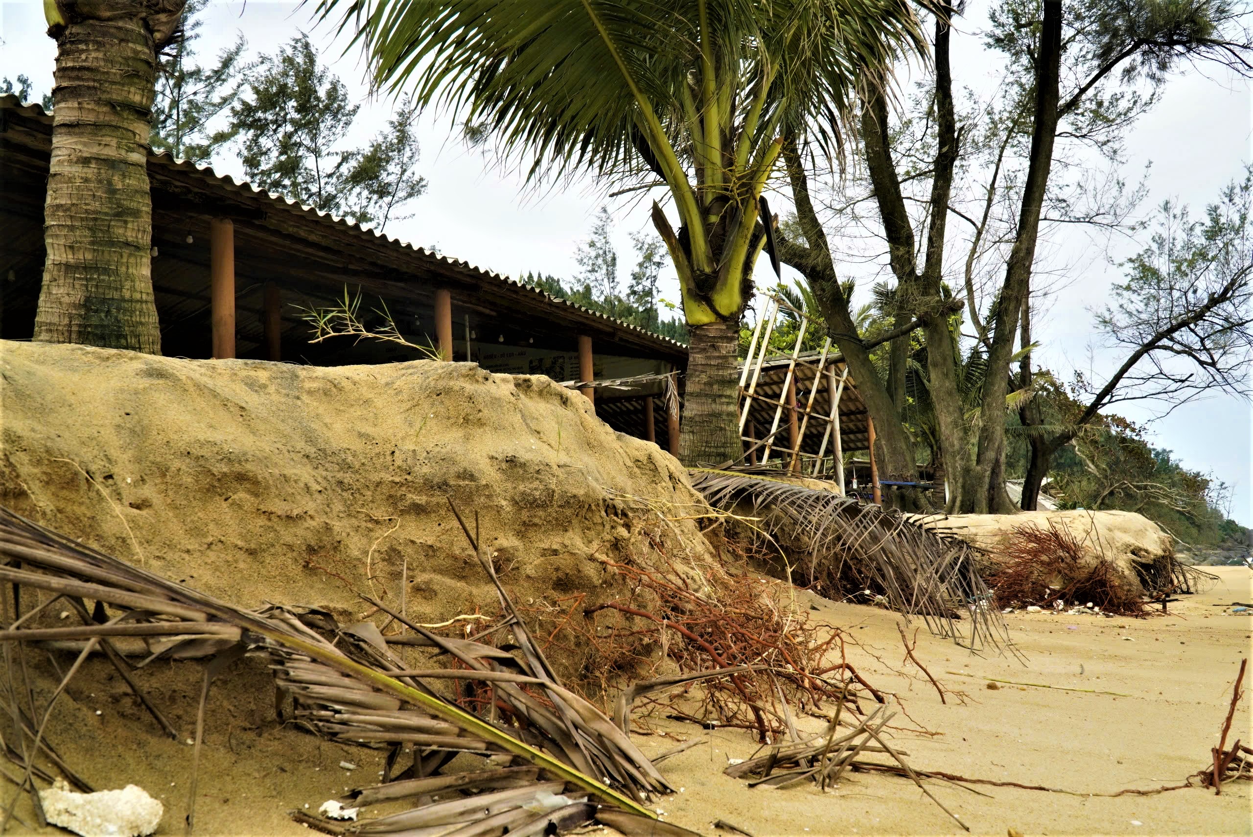 Bờ biển H&agrave;m Rồng tan hoang sau mưa b&atilde;o, TP Huế l&ecirc;n phương &aacute;n xử l&yacute; khẩn cấp- Ảnh 4.