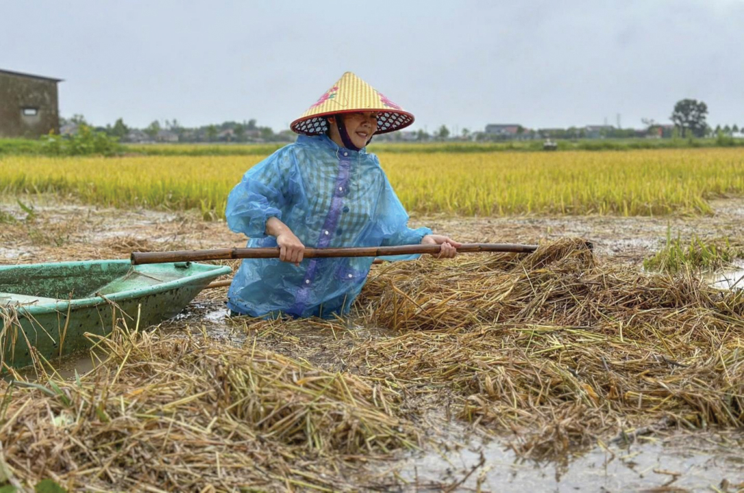 Biển đổi khí hậu và giải pháp "xanh hóa" đô thị?- Ảnh 2. Biển đổi khí hậu và giải pháp "xanh hóa" đô thị?- Ảnh 2.