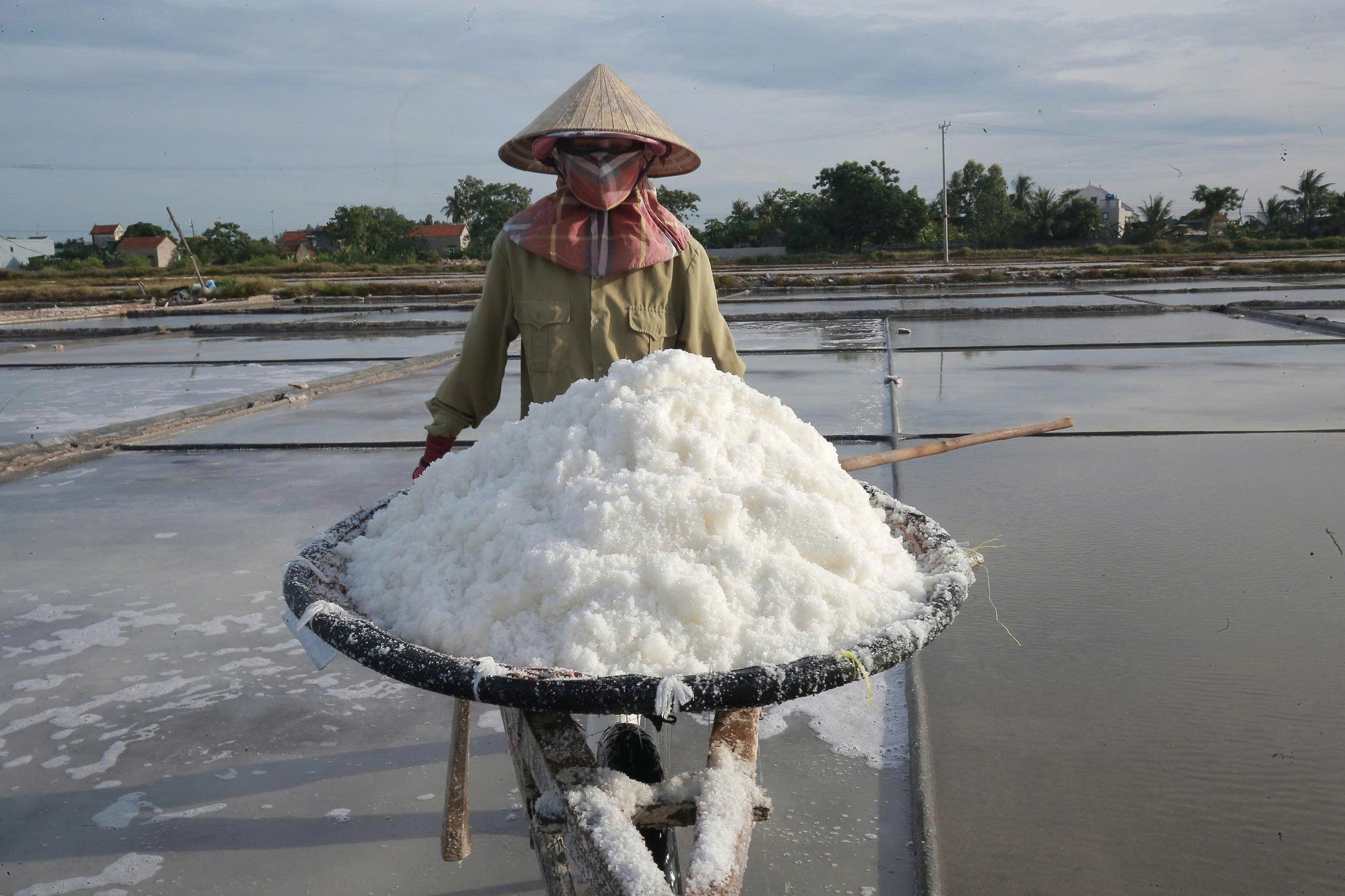 H&agrave;nh tr&igrave;nh biến những hạt muối th&ocirc; th&agrave;nh "hạt ngọc mặn của trời"- Ảnh 2.