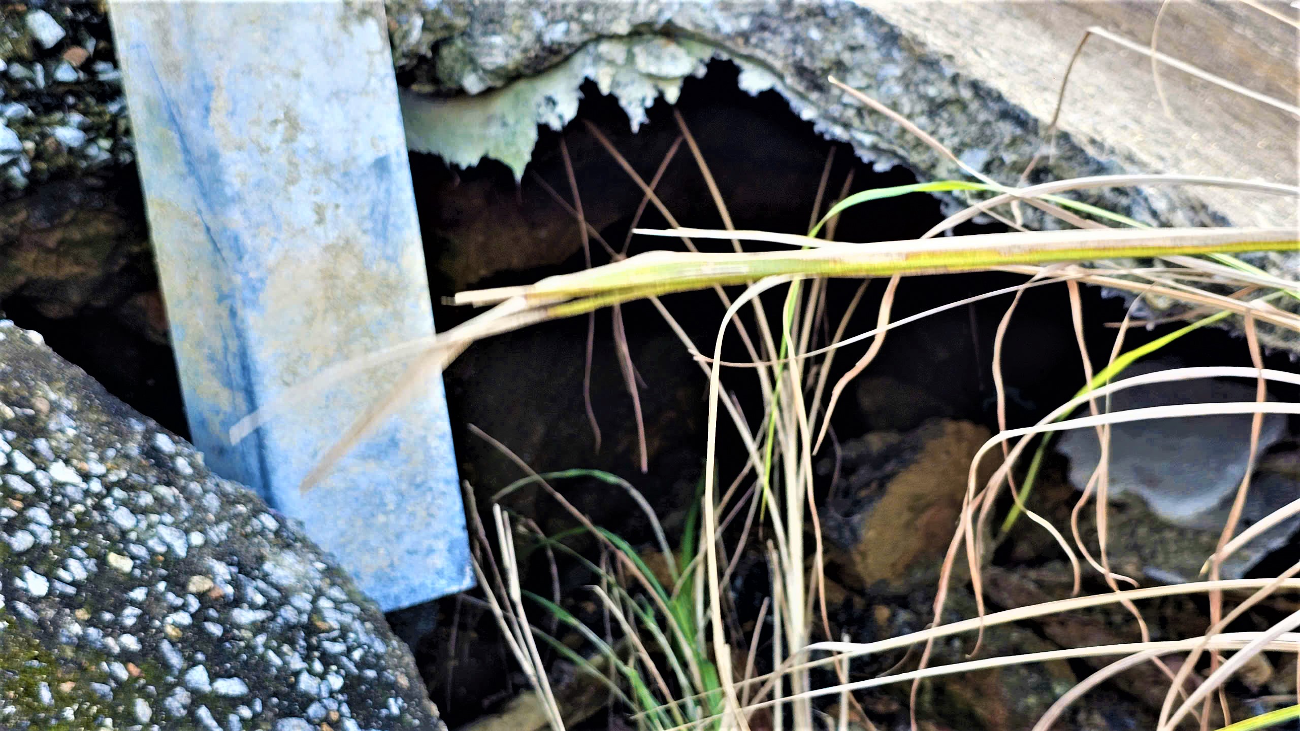 Tuyến đường du lịch ở Huế nứt toác, tạo hàm ếch gây nguy hiểm cho người đi đường- Ảnh 9. Tuyến đường du lịch ở Huế nứt toác, tạo hàm ếch gây nguy hiểm cho người đi đường- Ảnh 9.