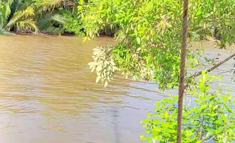 Đoạn s&ocirc;ng xảy ra vụ việc vỏ l&atilde;i bị lật &uacute;p, khiến người đ&agrave;n &ocirc;ng mất t&iacute;ch.