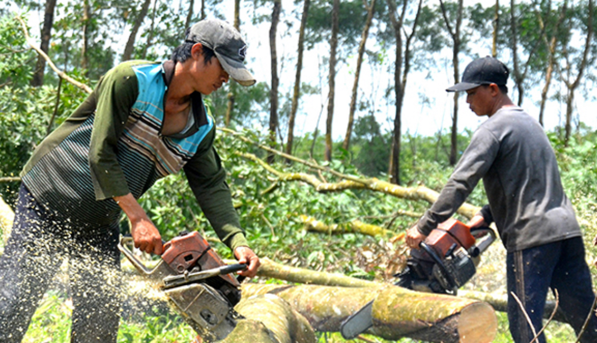 H&agrave;nh tr&igrave;nh gần 2.000 ng&agrave;y từ rừng cao su bạt ng&agrave;n đến s&acirc;n bay Long Th&agrave;nh lớn nhất Việt Nam- Ảnh 5.
