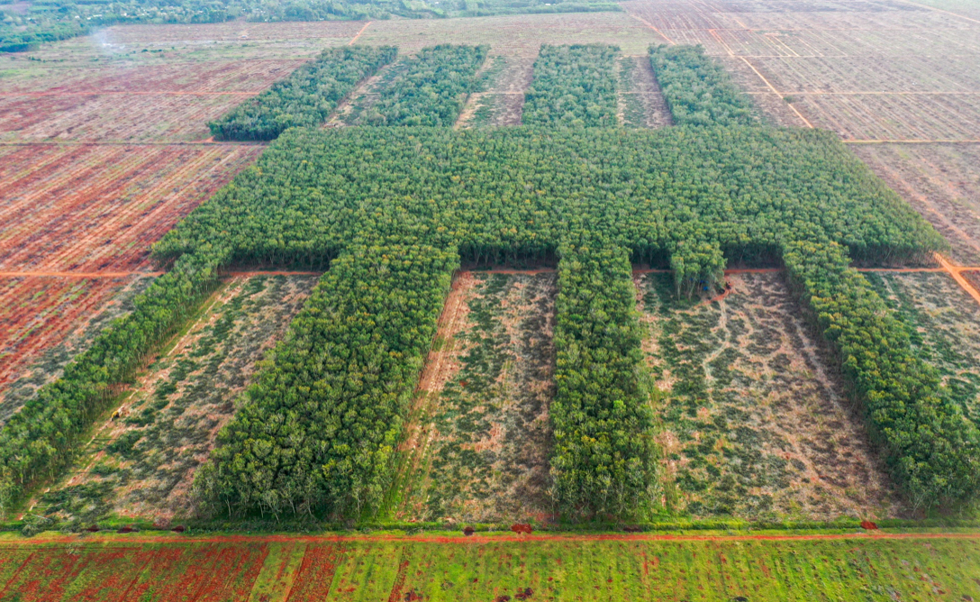 H&agrave;nh tr&igrave;nh gần 2.000 ng&agrave;y từ rừng cao su bạt ng&agrave;n đến s&acirc;n bay Long Th&agrave;nh lớn nhất Việt Nam- Ảnh 8.