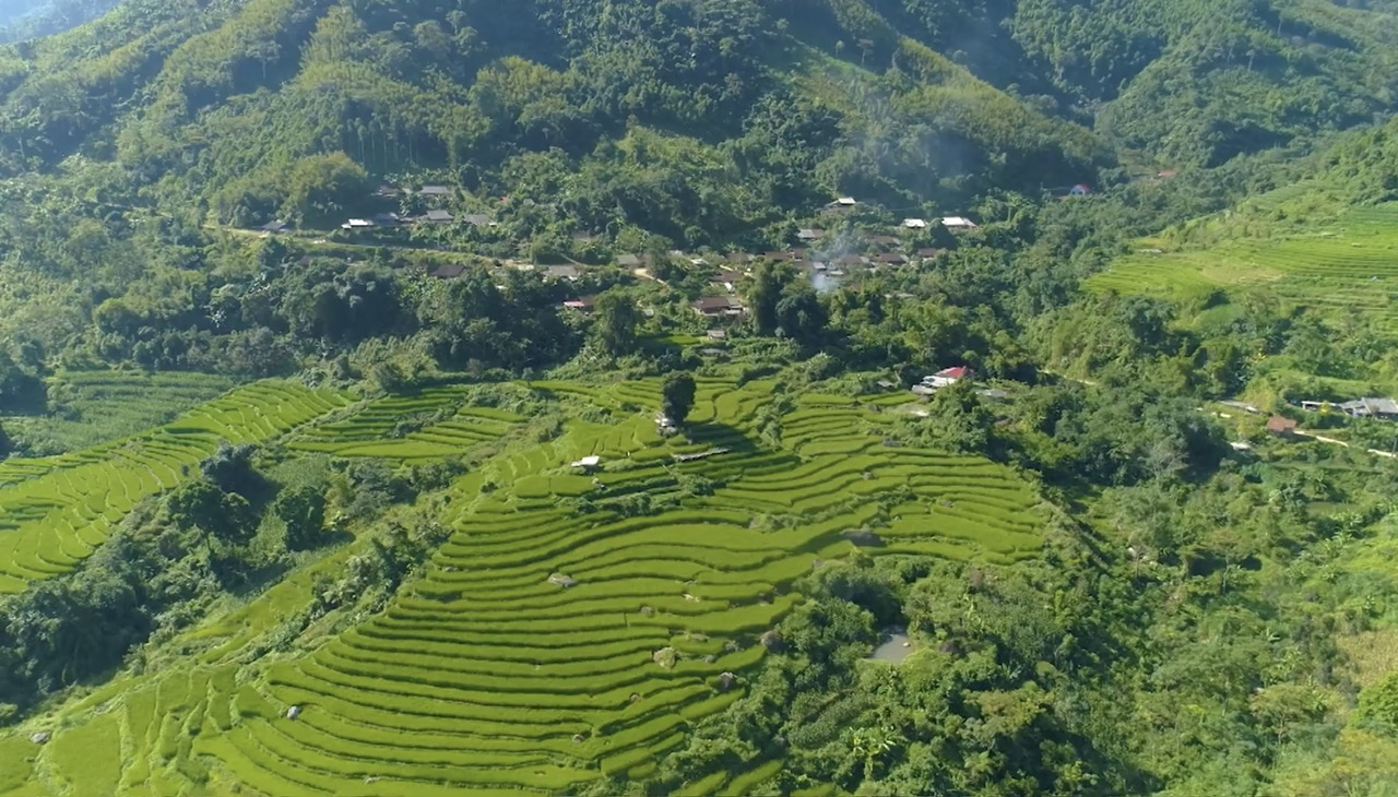 Thượng Minh khúc giao hòa của rừng trúc, văn hóa Dao và du lịch sinh thái- Ảnh 1. Thượng Minh khúc giao hòa của rừng trúc, văn hóa Dao và du lịch sinh thái- Ảnh 1.