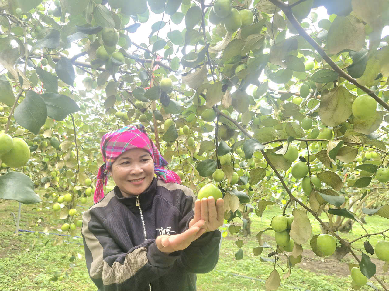 Bắc Ninh: Người d&acirc;n v&ugrave;ng cao hiến "tấc v&agrave;ng" mở lối ti&ecirc;u thụ n&ocirc;ng sản- Ảnh 3.