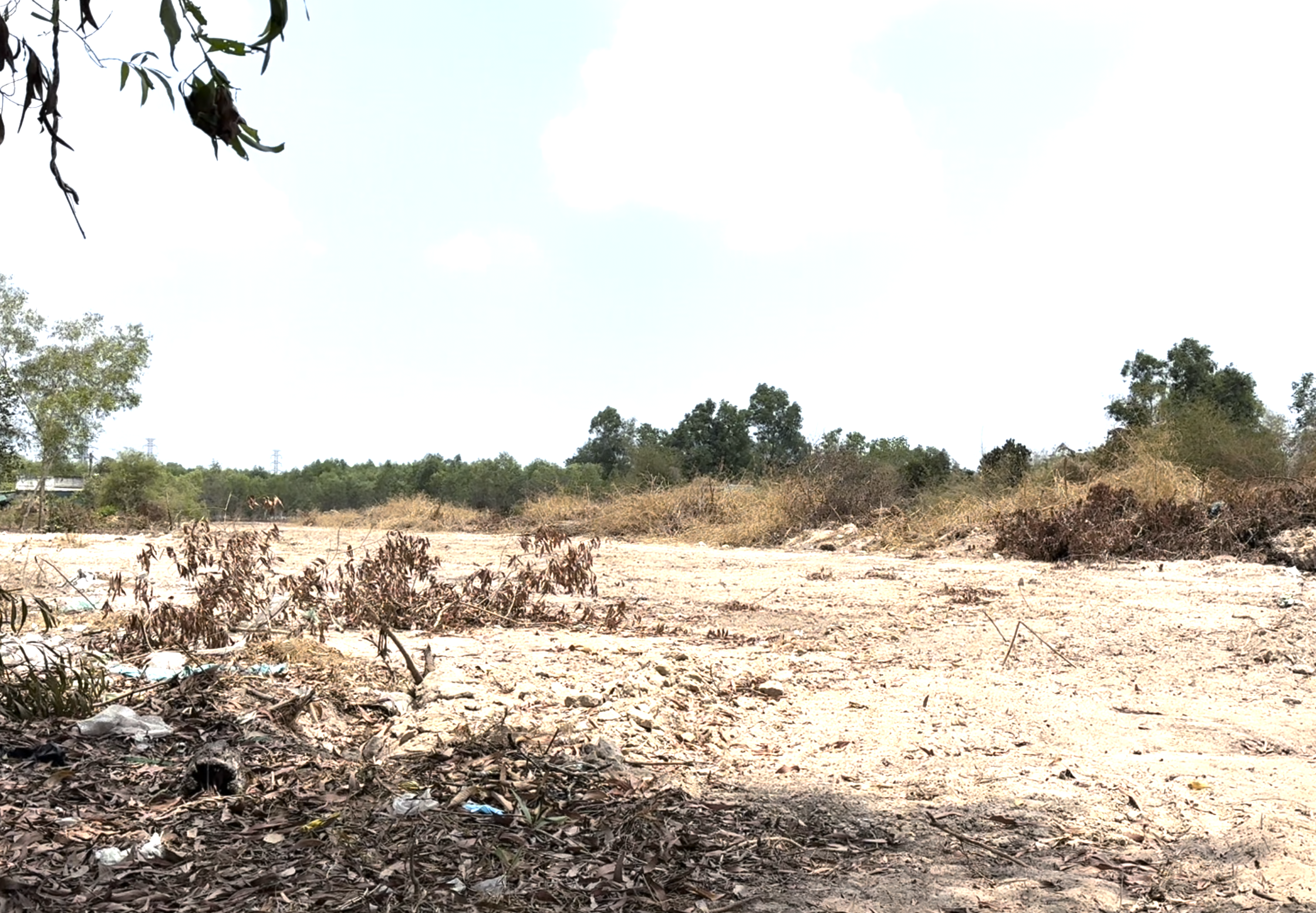 Nh&igrave;n lại h&agrave;nh tr&igrave;nh từ ruộng trũng đến thời khắc th&ocirc;ng xe kỹ thuật V&agrave;nh đai 3 qua Đồng Nai- Ảnh 3.