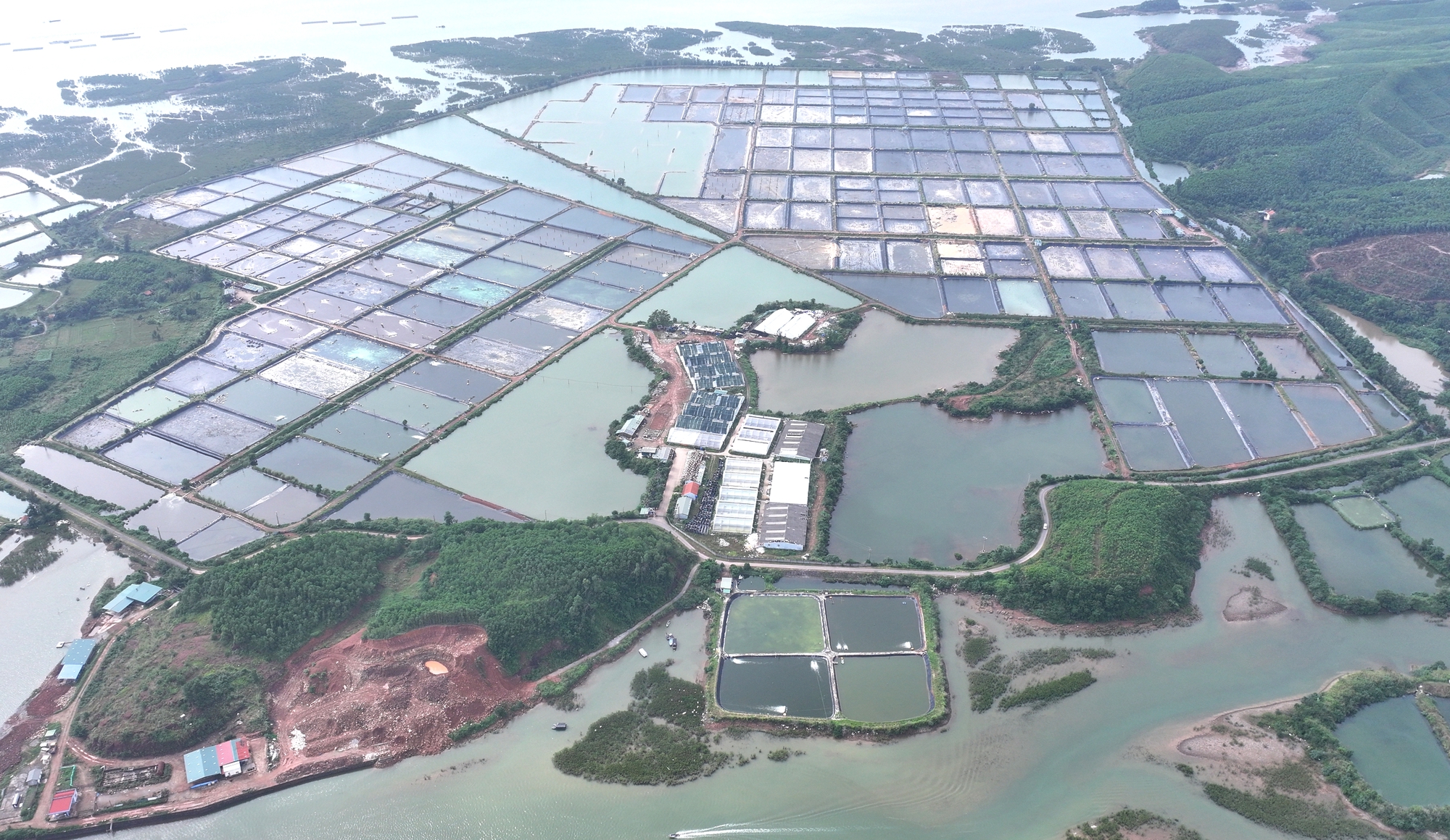 BIM Group khởi công 3 dự án trọng điểm, góp phần thúc đẩy phát triển Quảng Ninh- Ảnh 5. BIM Group khởi công 3 dự án trọng điểm, góp phần thúc đẩy phát triển Quảng Ninh- Ảnh 5.