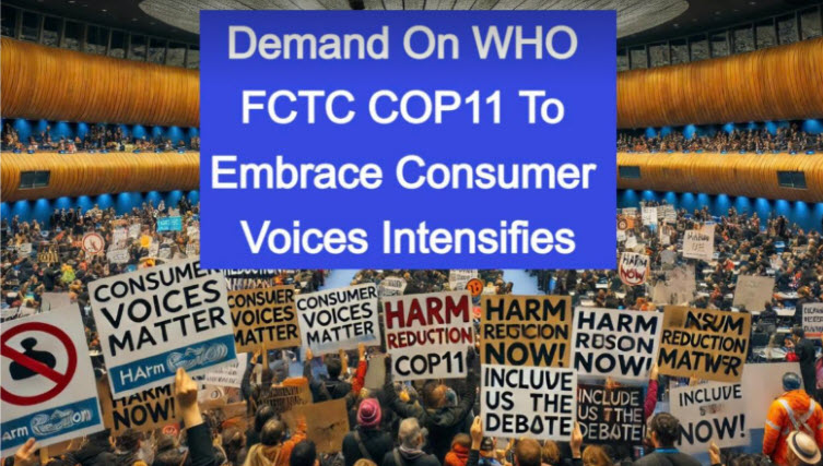 Chiến lược giảm tác hại thuốc lá vẫn bị bỏ ngỏ- Ảnh 2. Chiến lược giảm tác hại thuốc lá vẫn bị bỏ ngỏ- Ảnh 2.