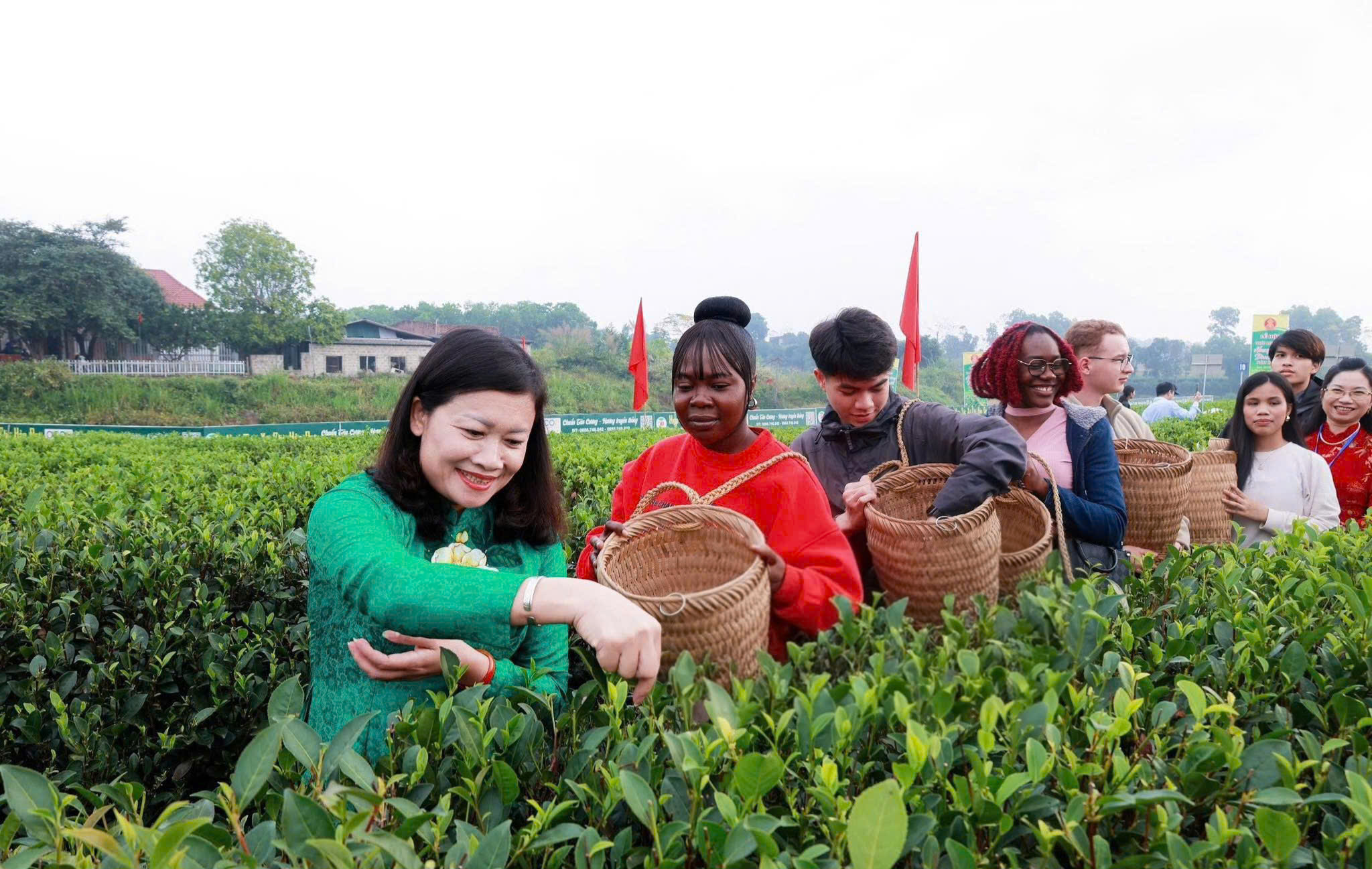 Hương sắc không gian trà, định danh “thủ phủ chè” Thái Nguyên- Ảnh 12. Hương sắc không gian trà, định danh “thủ phủ chè” Thái Nguyên- Ảnh 12.