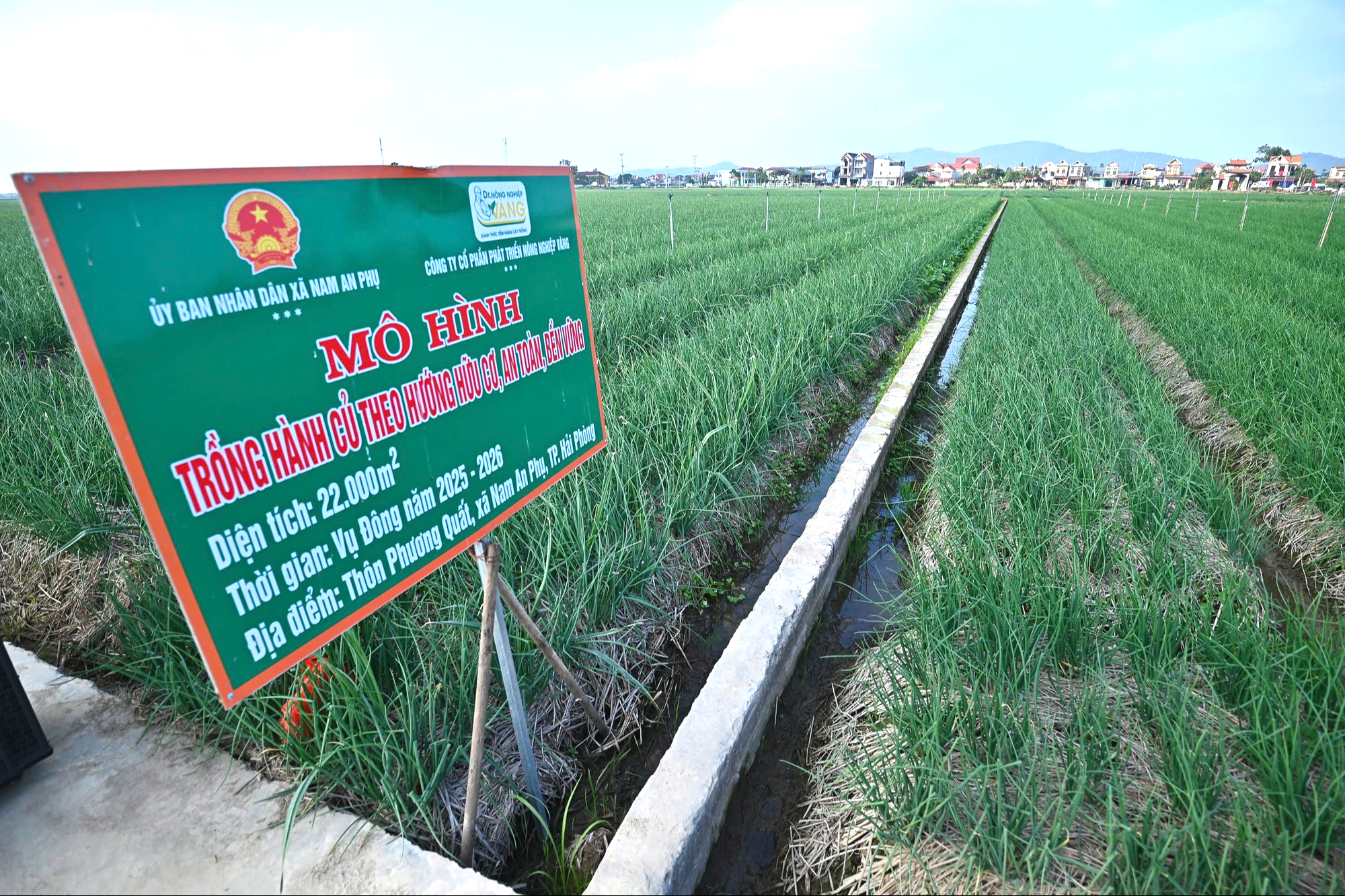 Kết nối n&ocirc;ng sản v&ugrave;ng Đồng bằng s&ocirc;ng Hồng, hướng tới thị trường Tết- Ảnh 3.