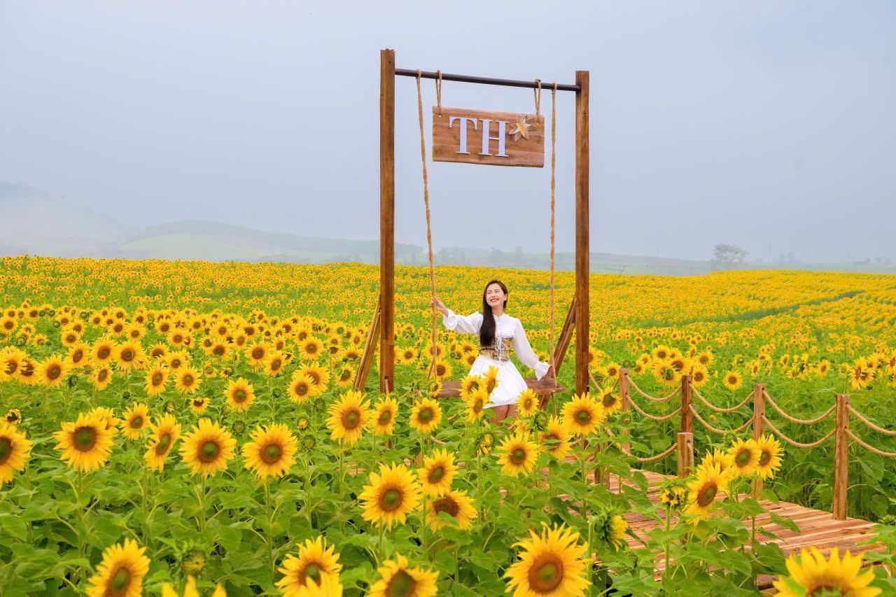 Từ c&aacute;nh đồng hướng dương đến kh&aacute;t vọng phụng sự v&igrave; tầm v&oacute;c Việt của TH true MILK- Ảnh 2.