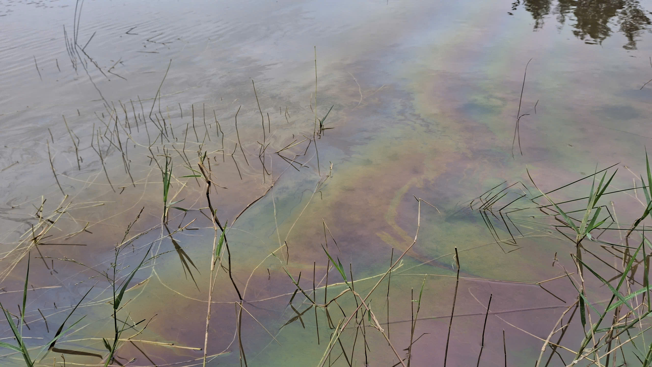 Cục Xăng dầu n&oacute;i g&igrave; về sự cố tr&agrave;n dầu ở KKT Dung Quất?- Ảnh 2.