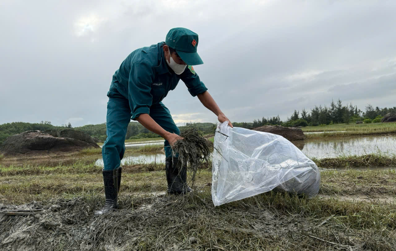 Cục Xăng dầu n&oacute;i g&igrave; về sự cố tr&agrave;n dầu ở KKT Dung Quất?- Ảnh 9.