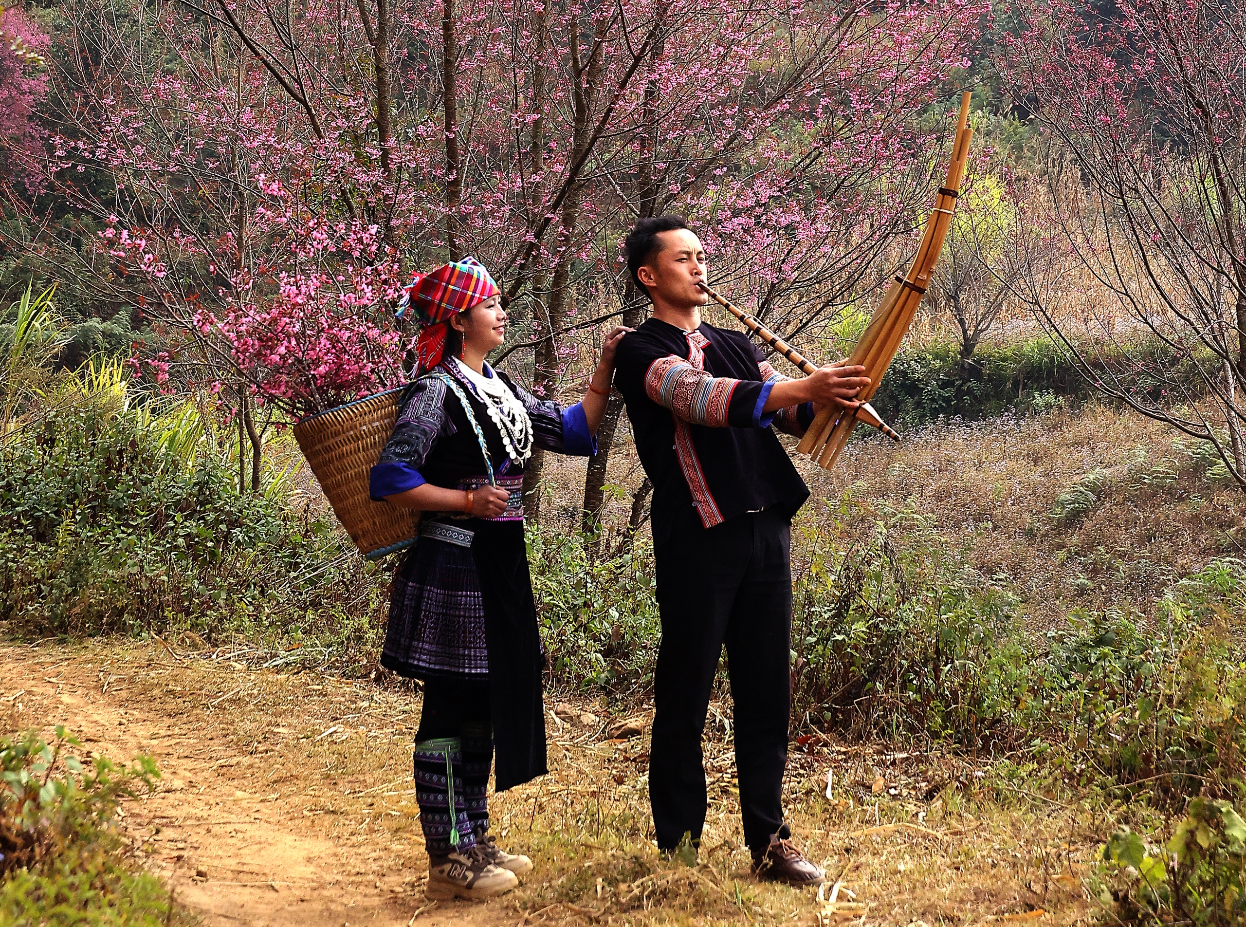M&ugrave; Cang Chải sẵn s&agrave;ng cho Festival Kh&egrave;n M&ocirc;ng v&agrave; Lễ hội hoa Tớ D&agrave;y 2026- Ảnh 5.