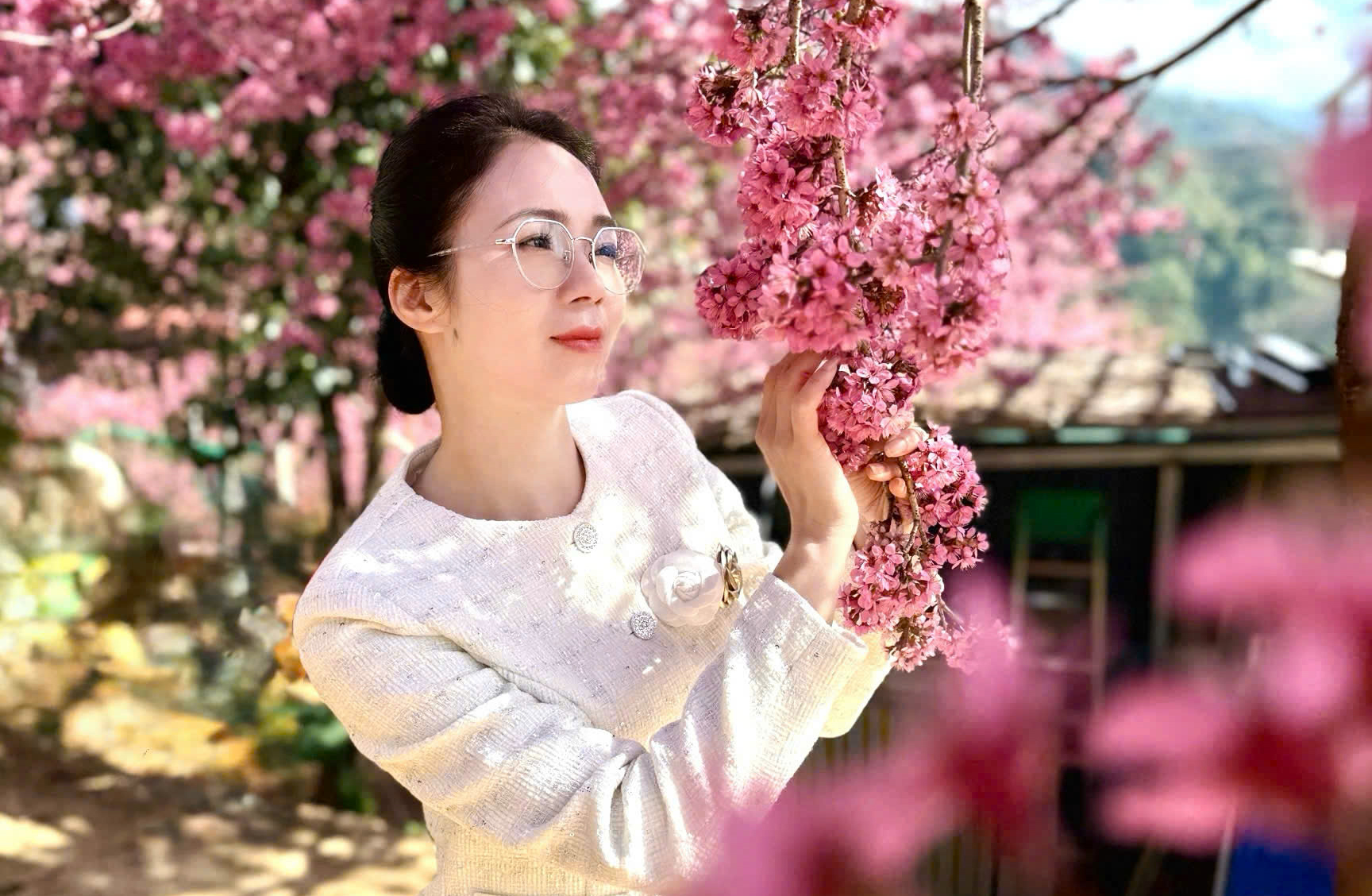 M&ugrave; Cang Chải sẵn s&agrave;ng cho Festival Kh&egrave;n M&ocirc;ng v&agrave; Lễ hội hoa Tớ D&agrave;y 2026- Ảnh 4.