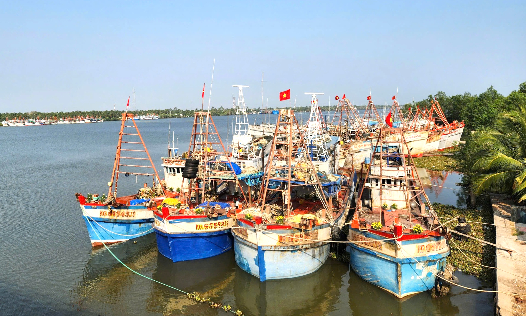 An Giang quyết liệt xử lý tàu cá khai thác thủy sản bất hợp pháp- Ảnh 1. An Giang quyết liệt xử lý tàu cá khai thác thủy sản bất hợp pháp- Ảnh 1.