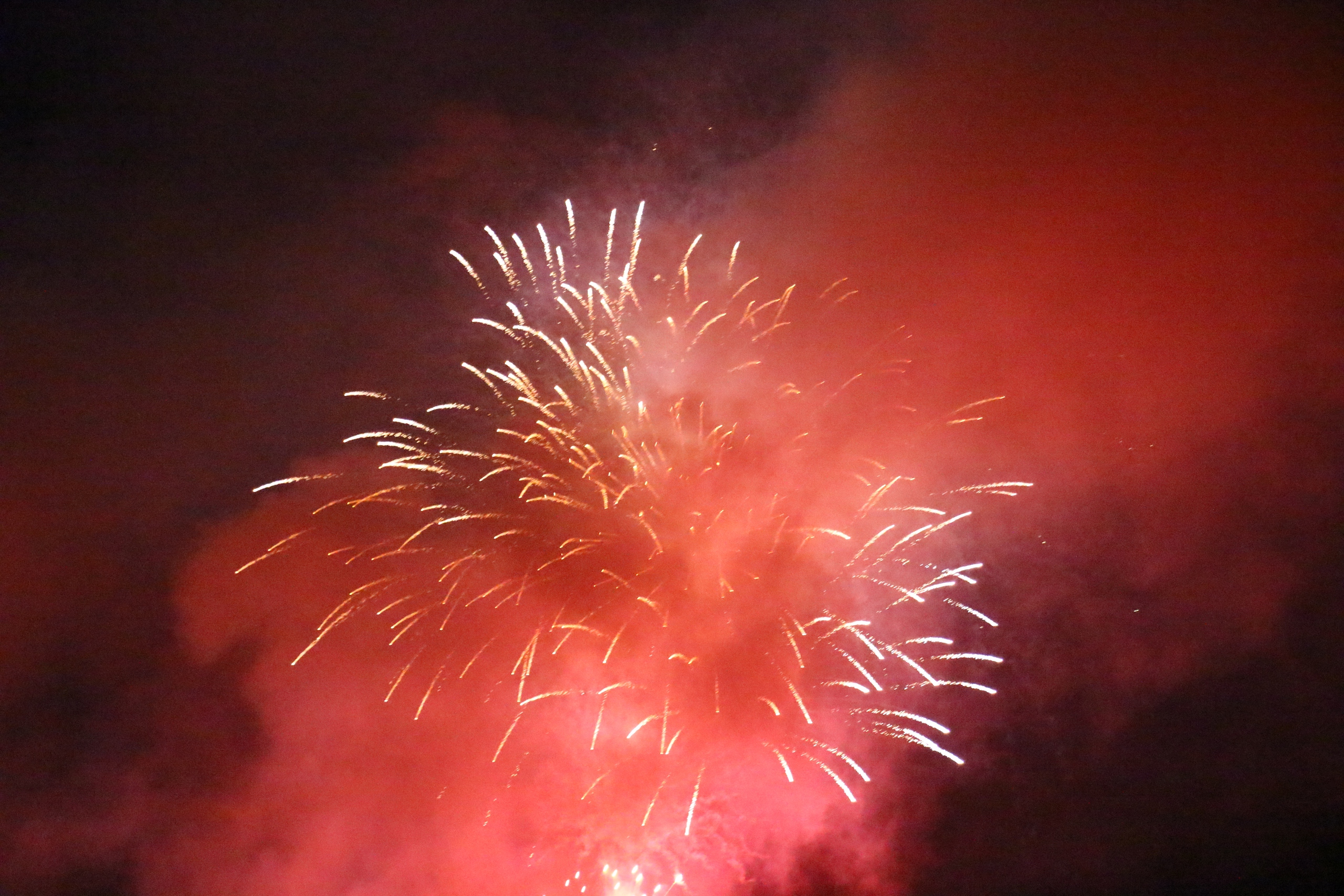 Đồng Nai: Ph&aacute;o hoa rực s&aacute;ng với h&agrave;ng chục ng&agrave;n người h&ograve;a nhịp Countdown đ&oacute;n năm mới 2026- Ảnh 14.