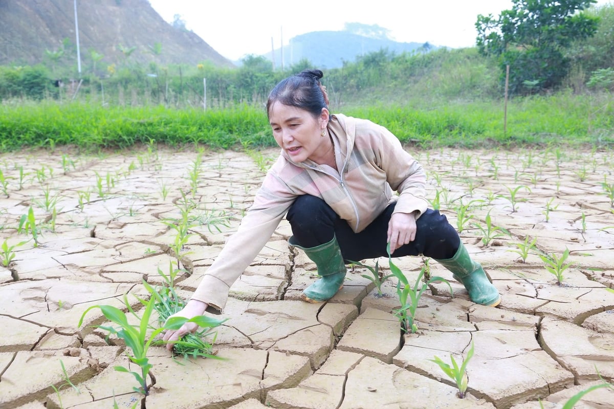 B&agrave;i 2: Hỗ trợ phục hồi sản xuất, kh&ocirc;ng để "tr&ecirc;n n&oacute;ng, dưới lạnh"- Ảnh 1.