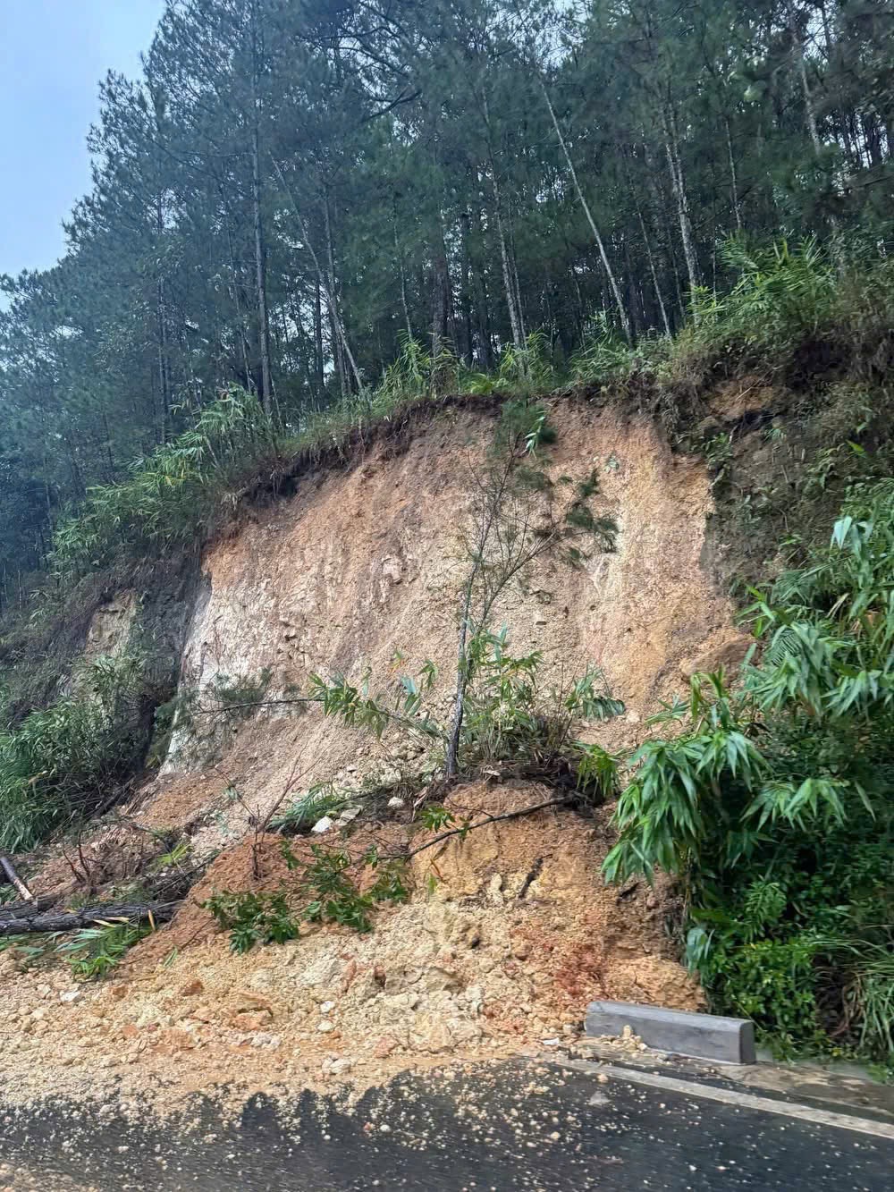 L&acirc;m Đồng: Mưa lớn k&eacute;o d&agrave;i, th&ecirc;m nhiều tuyến đ&egrave;o sạt lở, giao th&ocirc;ng t&ecirc; liệt- Ảnh 1.