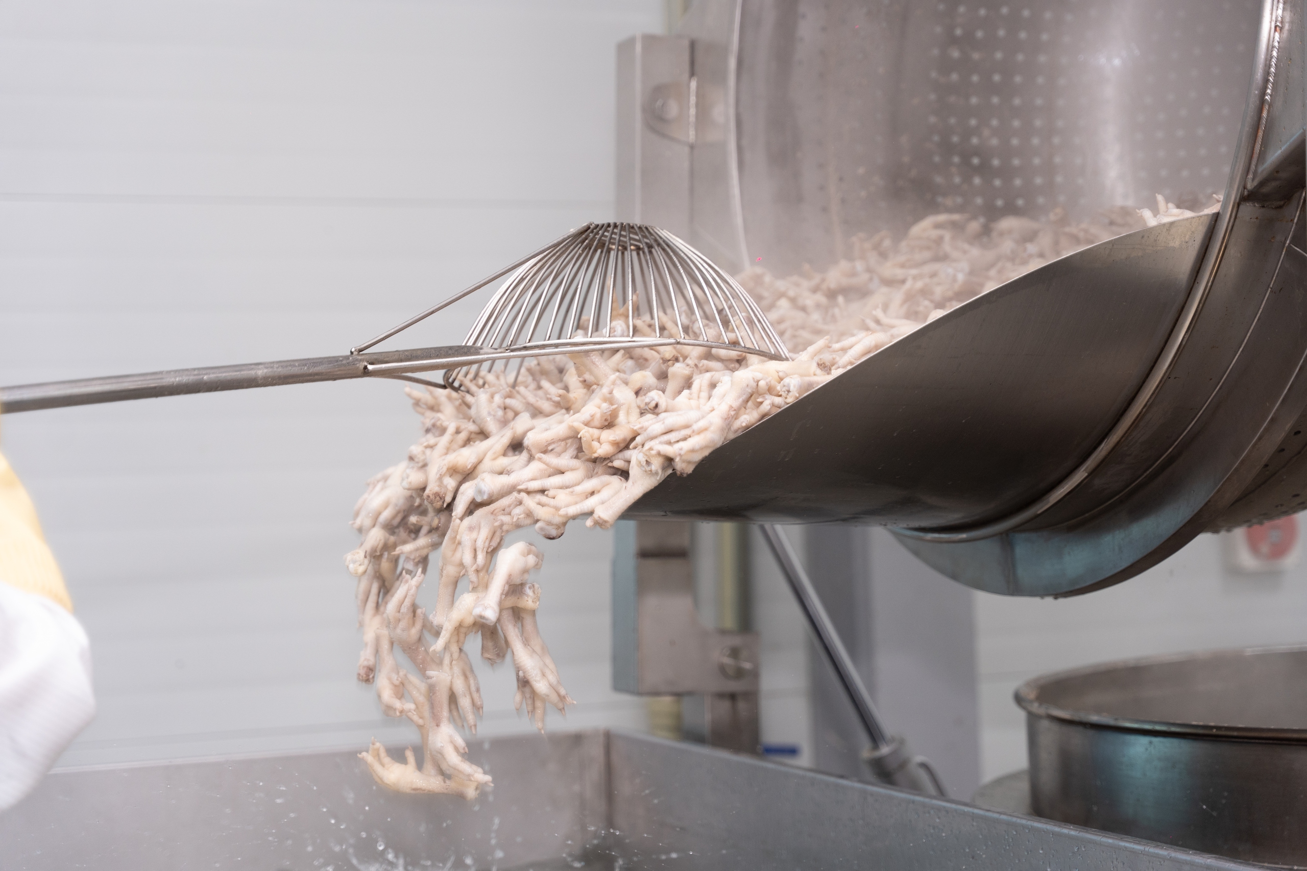 Cận cảnh cơ sở sản xuất hiện đại "Ch&acirc;n g&agrave; B&agrave; Tuyết"- Ảnh 10.