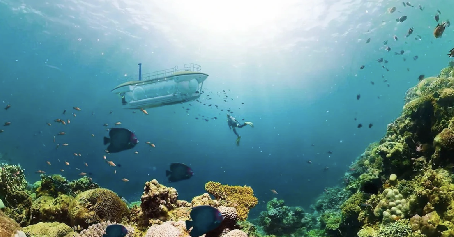 Nghị định 34 mở đường cho du lịch t&agrave;u lặn biển độc đ&aacute;o, đẳng cấp thế giới- Ảnh 2.