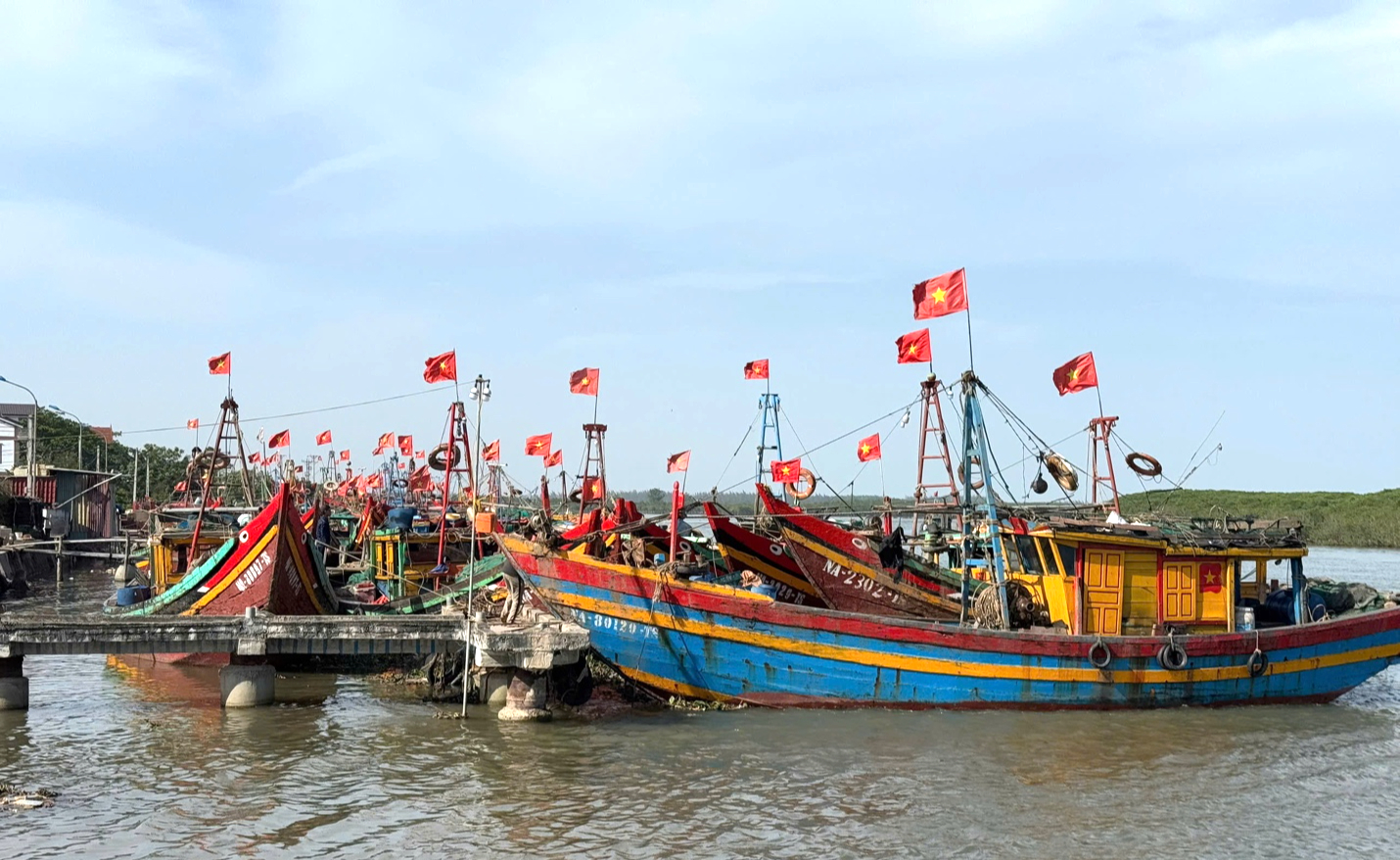 Nghệ An: N&acirc;ng cấp cảng c&aacute;, khu neo đậu t&agrave;u thuyền cần thực hiện theo Nghị định 80- Ảnh 3.