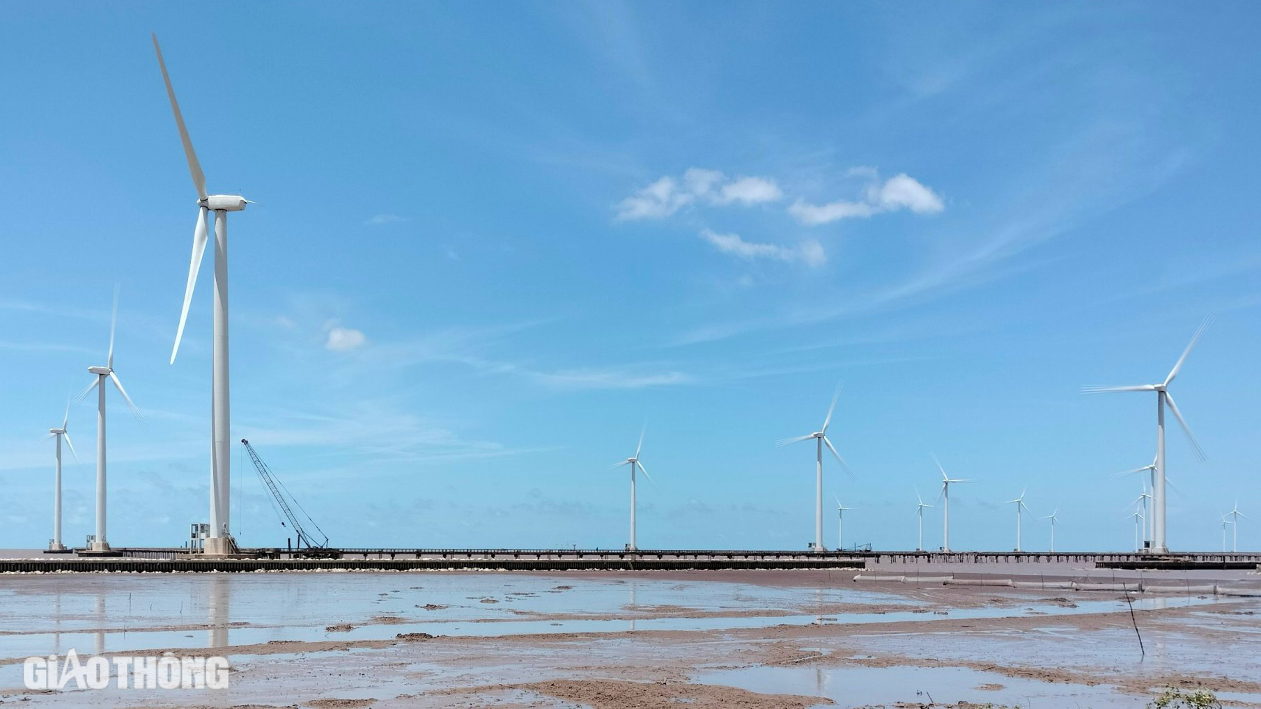 Chơi đâu ở Bạc Liêu đầu Xuân mới 2025?- Ảnh 5. Chơi đâu ở Bạc Liêu đầu Xuân mới 2025?- Ảnh 5.