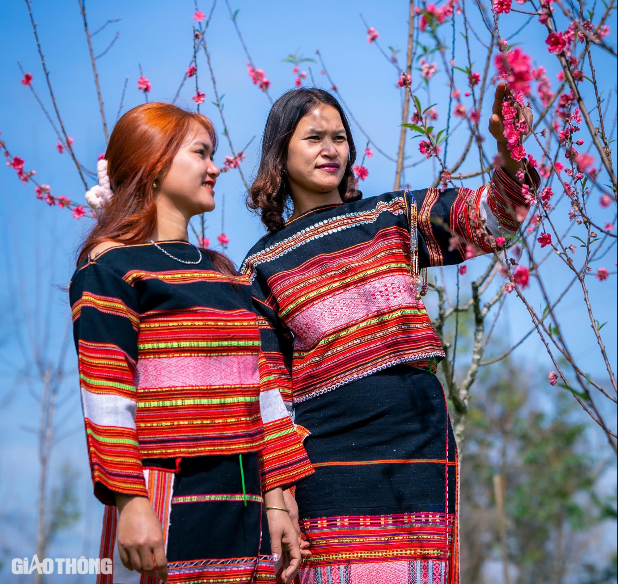Hoa đ&agrave;o bung nở "kho&aacute;c &aacute;o mới" đẹp như tranh tại huyện miền n&uacute;i B&igrave;nh Định- Ảnh 4.