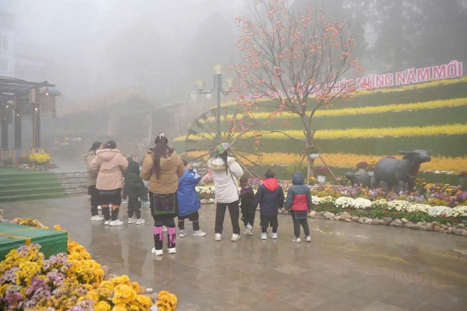 Người d&acirc;n T&acirc;y Bắc băng rừng vượt n&uacute;i vui xu&acirc;n đ&oacute;n Tết- Ảnh 17.