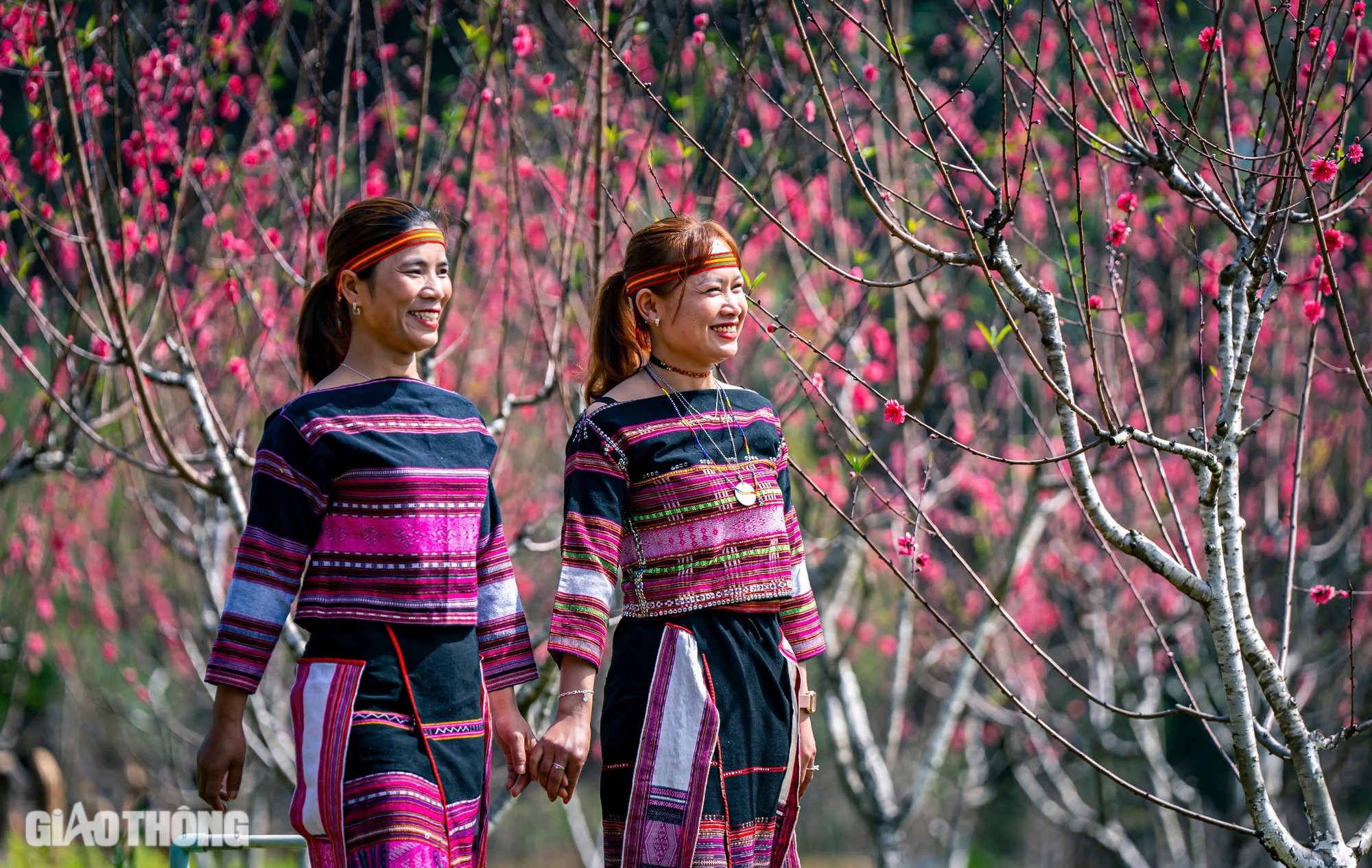 Hoa đ&agrave;o bung nở "kho&aacute;c &aacute;o mới" đẹp như tranh tại huyện miền n&uacute;i B&igrave;nh Định- Ảnh 6.