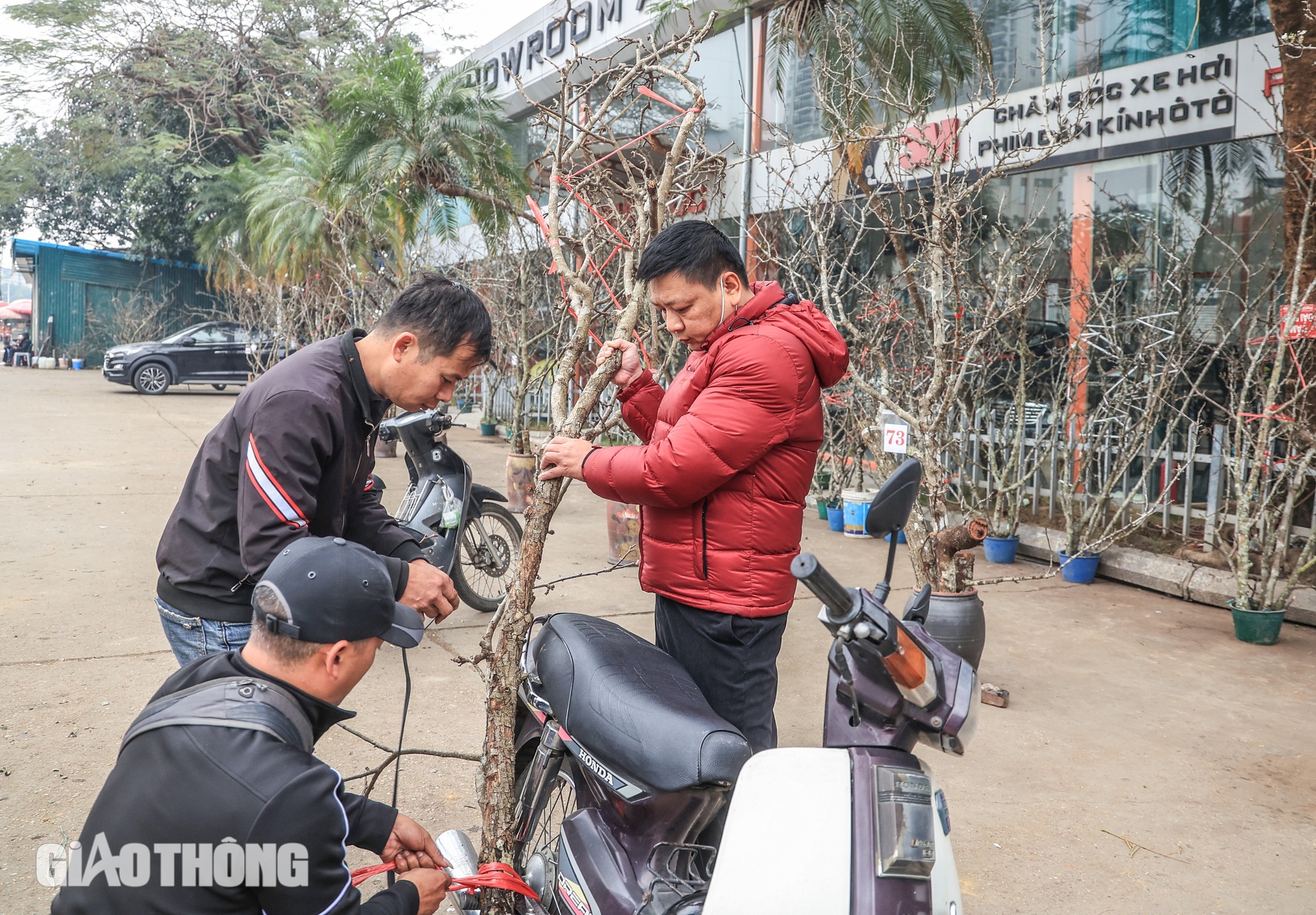 Hoa l&ecirc; trắng gi&aacute; bạc triệu chờ kh&aacute;ch mua sau Tết- Ảnh 12.