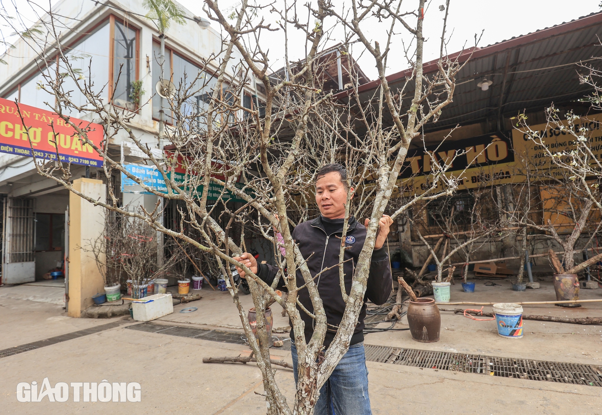 Hoa l&ecirc; trắng gi&aacute; bạc triệu chờ kh&aacute;ch mua sau Tết- Ảnh 2.