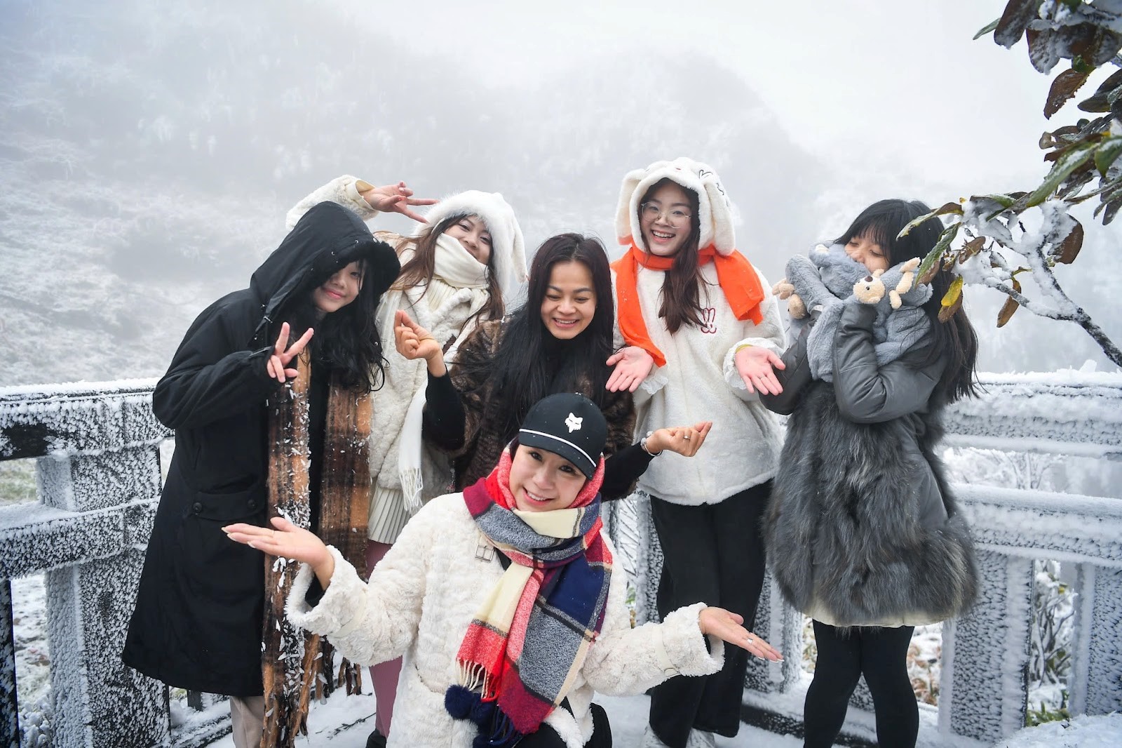 R&eacute;t đậm r&eacute;t hại, du kh&aacute;ch đổ l&ecirc;n Fansipan săn băng tuyết- Ảnh 2.