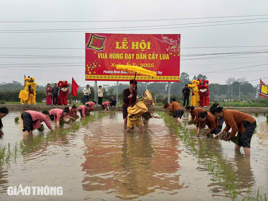 Đặc sắc lễ hội "Vua H&ugrave;ng dạy d&acirc;n cấy l&uacute;a"- Ảnh 9.