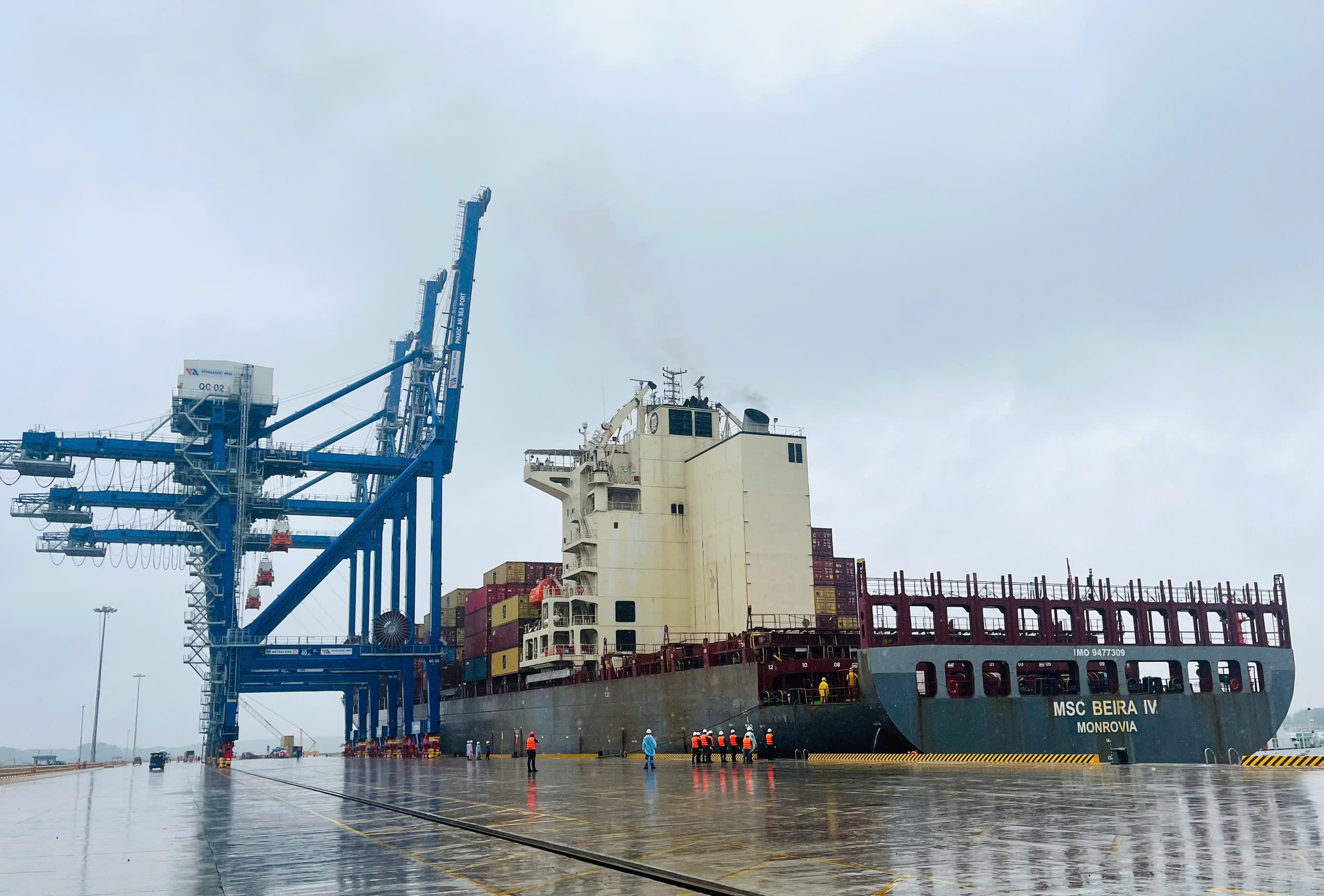 Cảng Phước An đ&oacute;n chuyến h&agrave;ng đầu ti&ecirc;n của h&atilde;ng t&agrave;u quốc tế MSC- Ảnh 2.