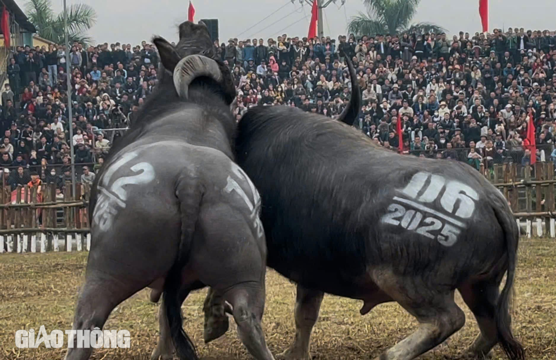 H&agrave;ng vạn người chứng kiến trận đấu nảy lửa của c&aacute;c "&ocirc;ng Cầu" tại Vĩnh Ph&uacute;c- Ảnh 8.