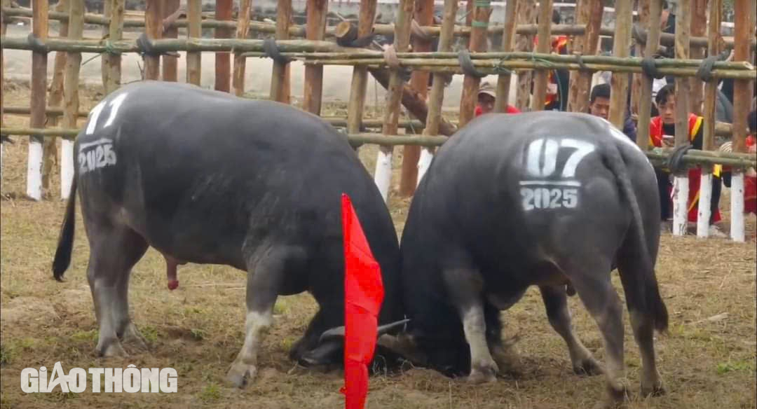 H&agrave;ng vạn người chứng kiến trận đấu nảy lửa của c&aacute;c "&ocirc;ng Cầu" tại Vĩnh Ph&uacute;c- Ảnh 6.