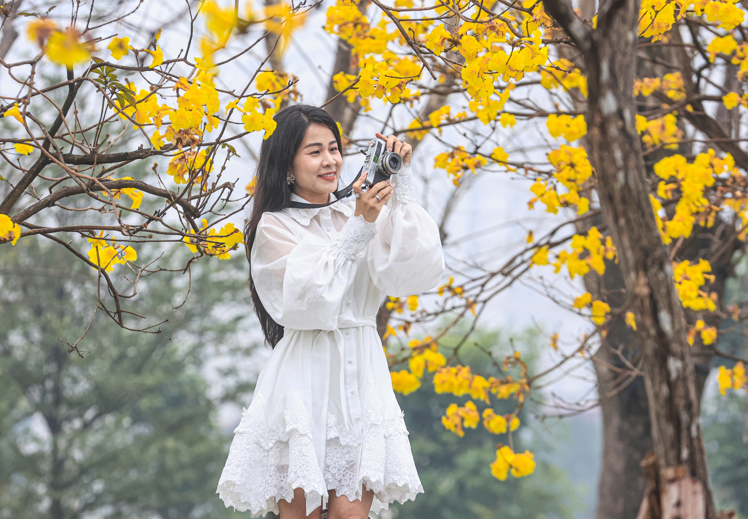 M&ecirc; mẩn đường hoa phong linh đẹp như tranh ở Thủ đ&ocirc;- Ảnh 5.