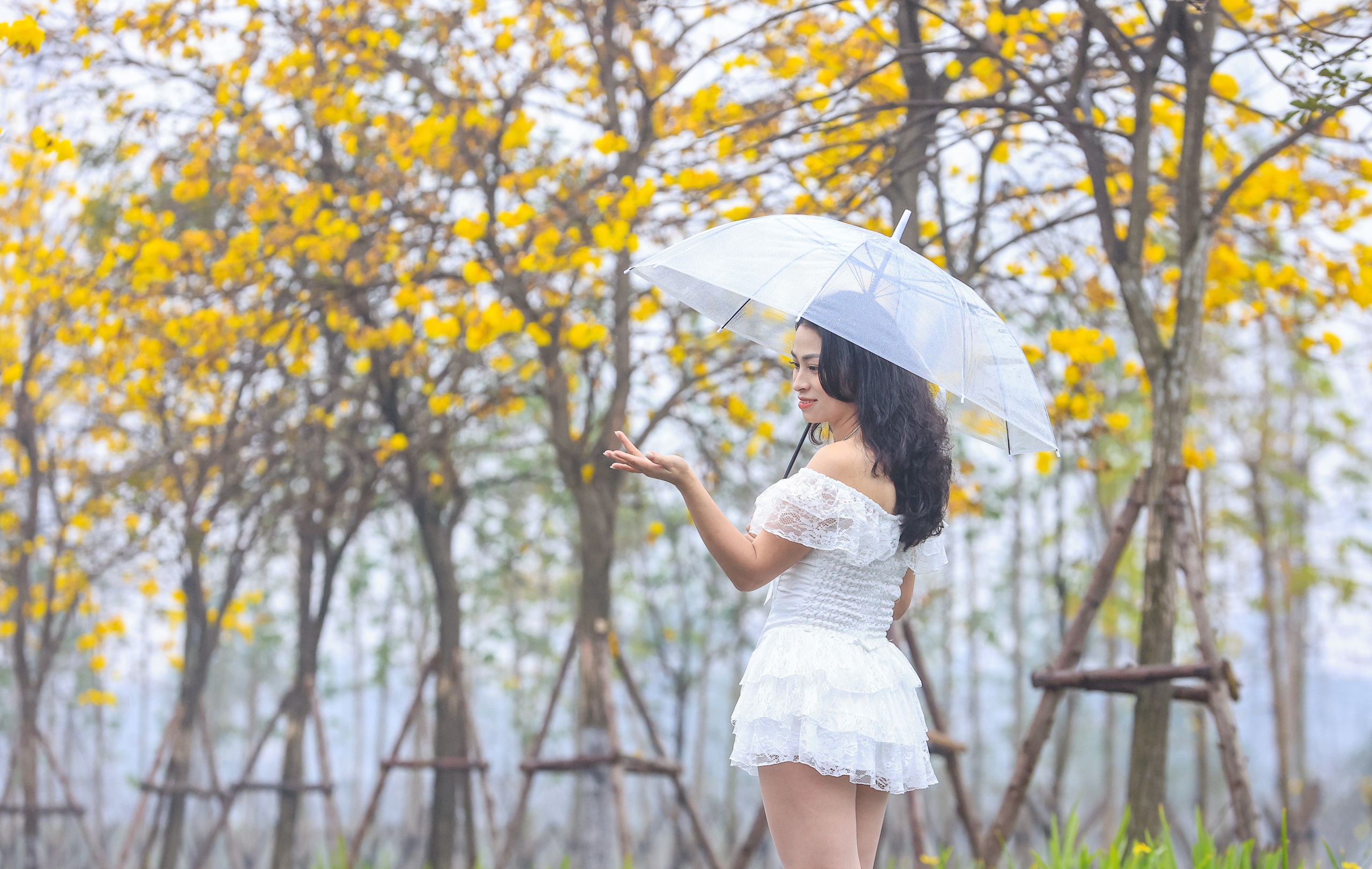 M&ecirc; mẩn đường hoa phong linh đẹp như tranh ở Thủ đ&ocirc;- Ảnh 7.
