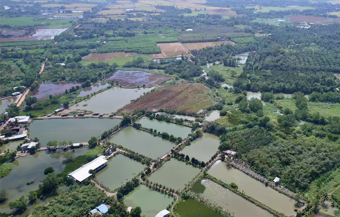 Cầu Vàm Cái Sứt xây xong vẫn đóng vì thiếu đường nối về cao tốc TP.HCM - Long Thành- Ảnh 14. Cầu Vàm Cái Sứt xây xong vẫn đóng vì thiếu đường nối về cao tốc TP.HCM - Long Thành- Ảnh 14.